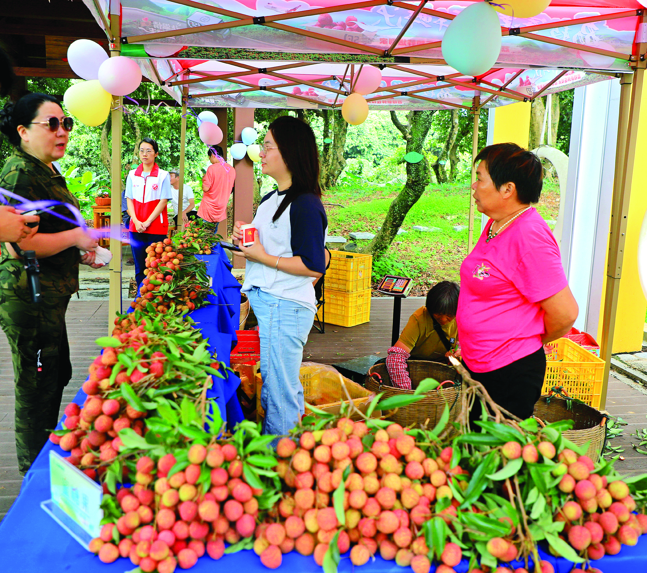     游人在古荔枝公园购买泰美荔枝。本组图片 惠州日报记者李燕文 摄