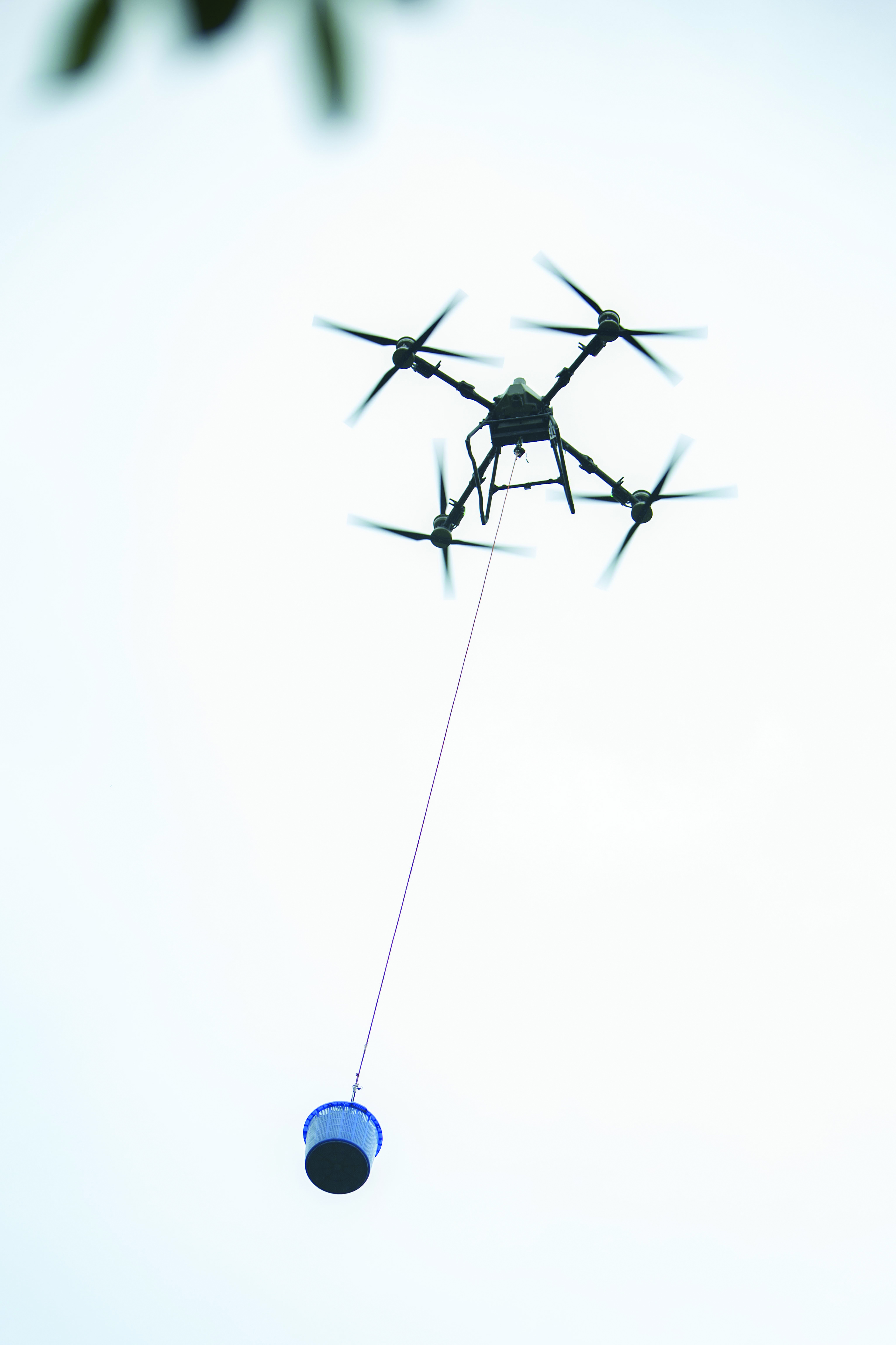     农用无人机吊运荔枝。    惠州日报记者刘豪伟 摄