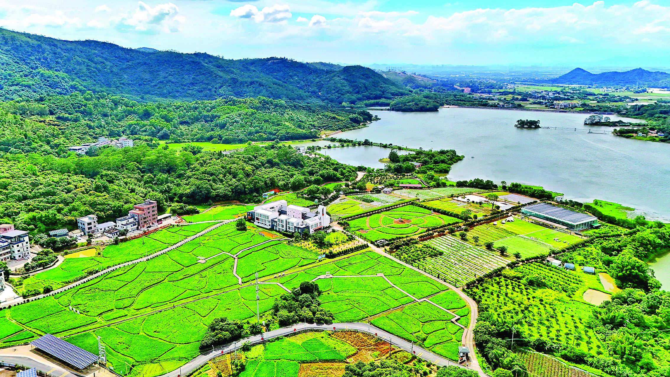     黄洞村位于惠阳区良井镇，风光秀丽。黄洞村供图