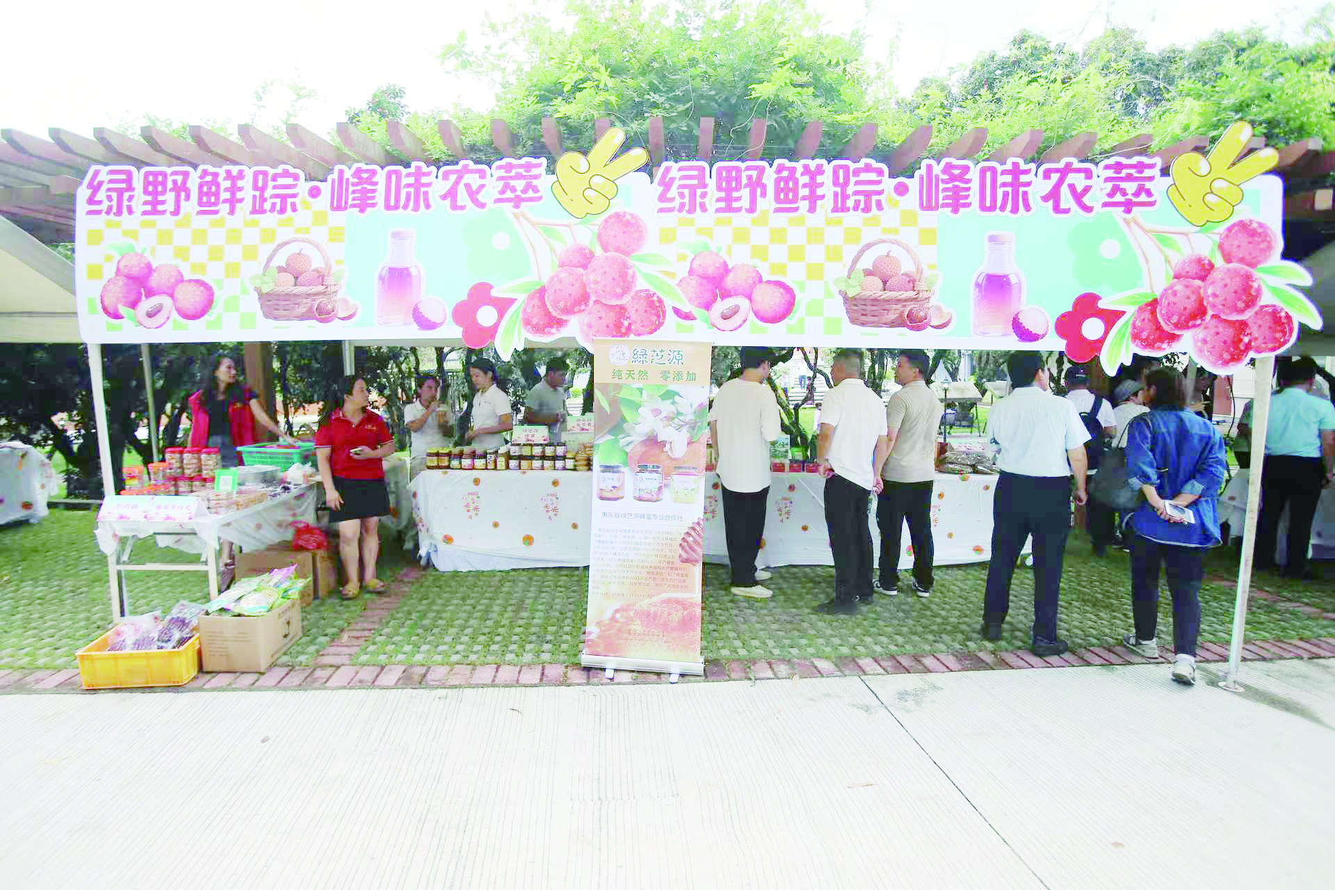     邮储银行惠州市分行助力打响“九龙峰荔枝”品牌。