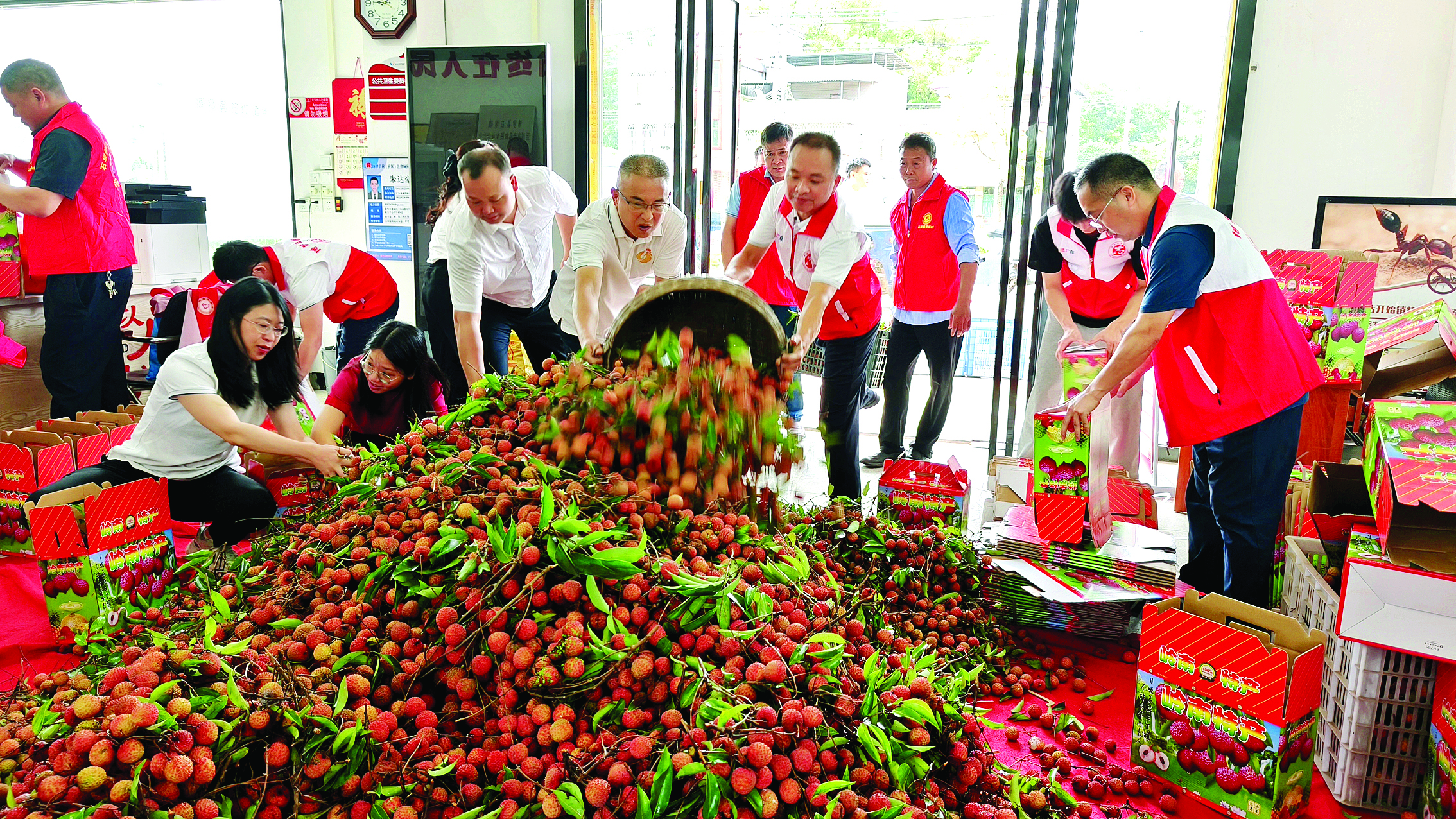     干群齐心助力荔枝销售。惠州日报记者李燕文 摄