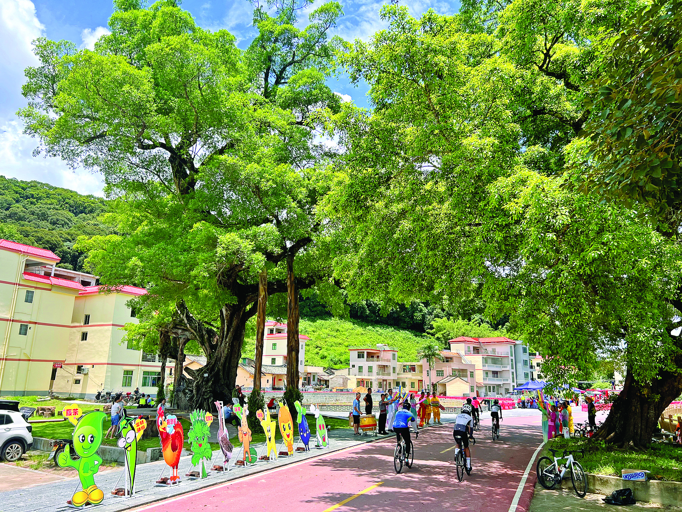     骑手们穿过中心村的千年大榕树，感受良好人居环境和村民的热情。    惠州日报记者黄宇翔 摄