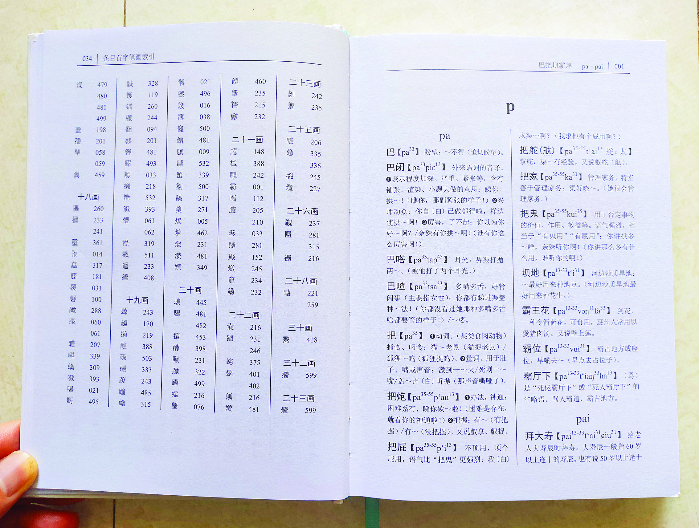     《惠州方言词典》书影。