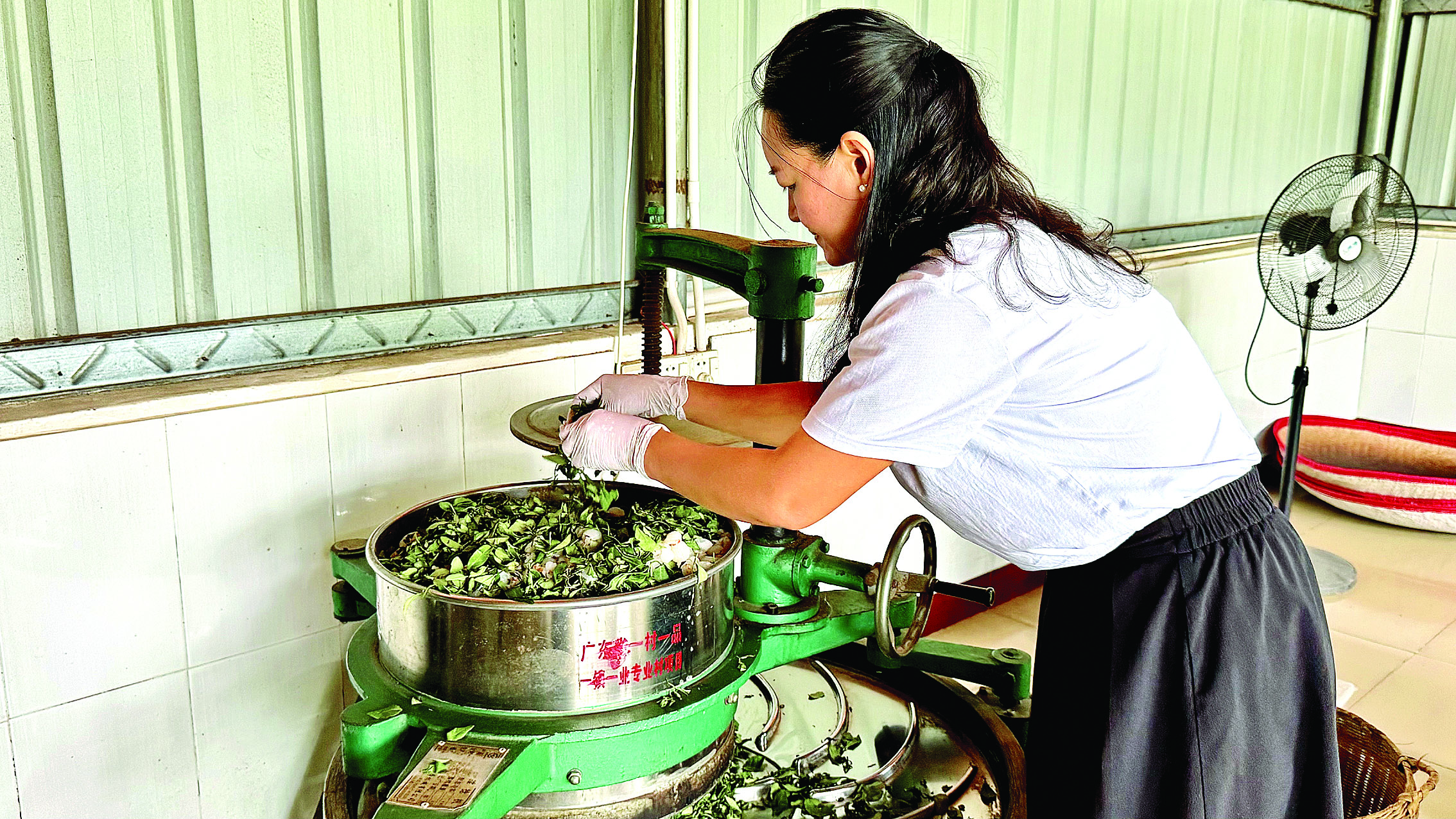    林运梅正在制作荔枝红茶。 惠州日报记者卢泓宇 摄