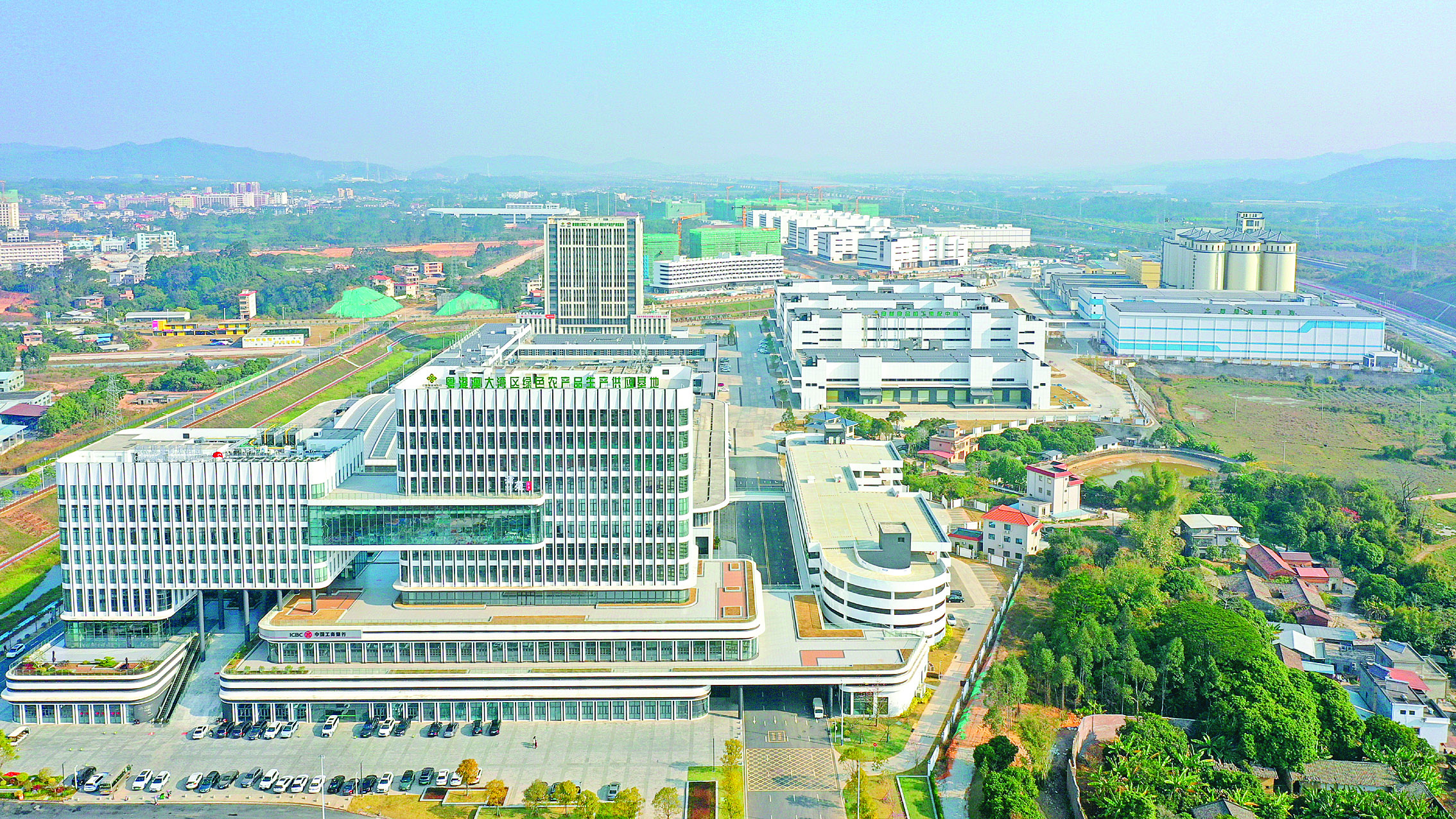     粤港澳大湾区（广东·惠州）绿色农产品生产供应基地。本组图片泰美镇提供