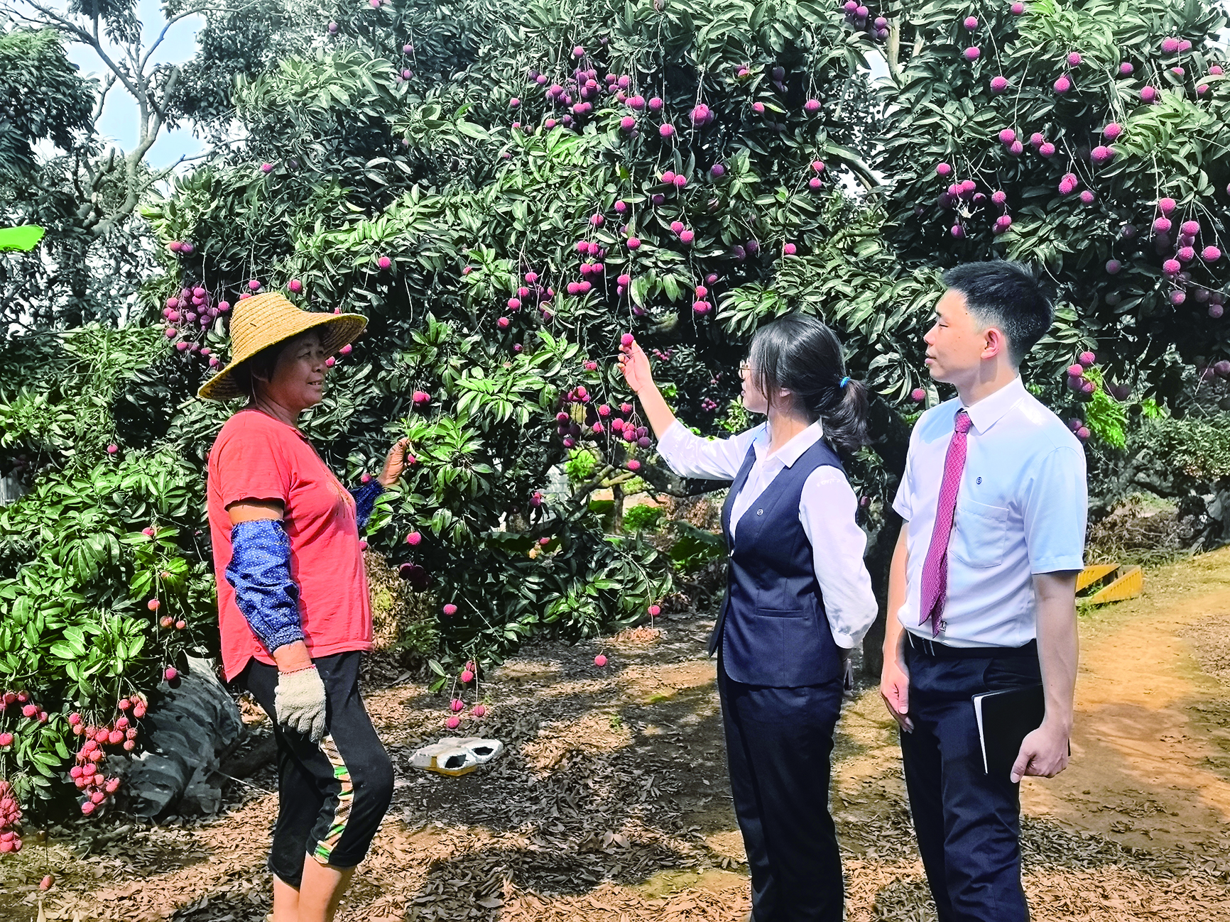     银行客户经理到荔枝园了解果农资金需求。          惠州市银行业协会供图