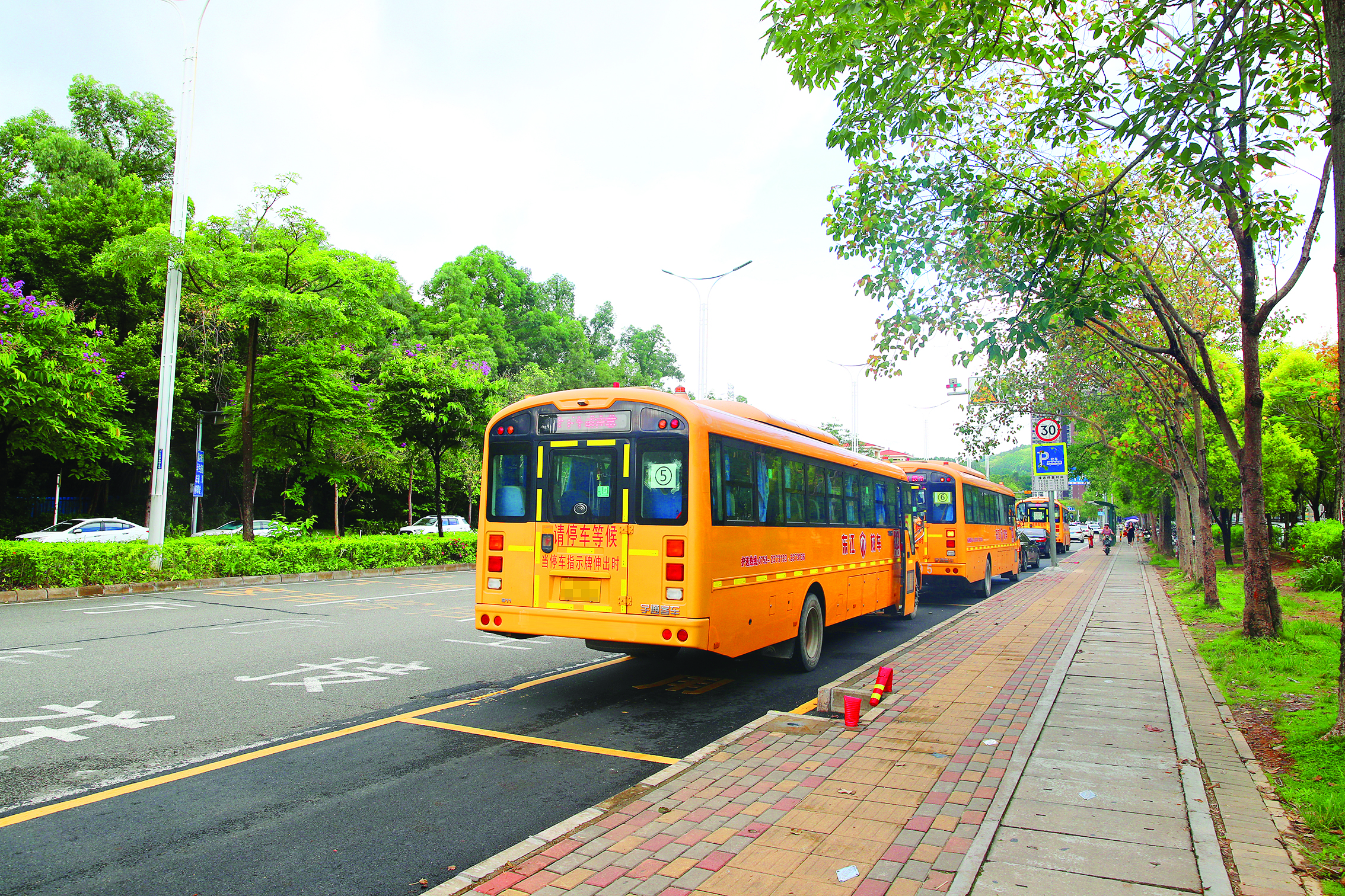     体育南路惠南学校段拓增了校车专用道，上下学高峰期交通拥堵得到缓解。