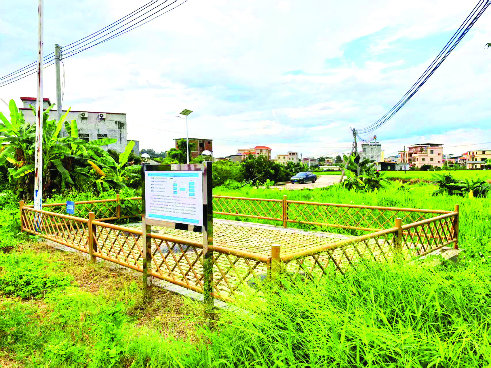     横沥镇潭头村资源化利用站点。