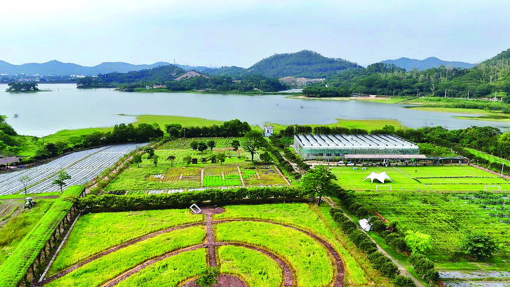     黄洞村发挥自身生态环境好、土地集中连片等优势，引进企业打造田园综合体。惠州日报记者刘建威 摄