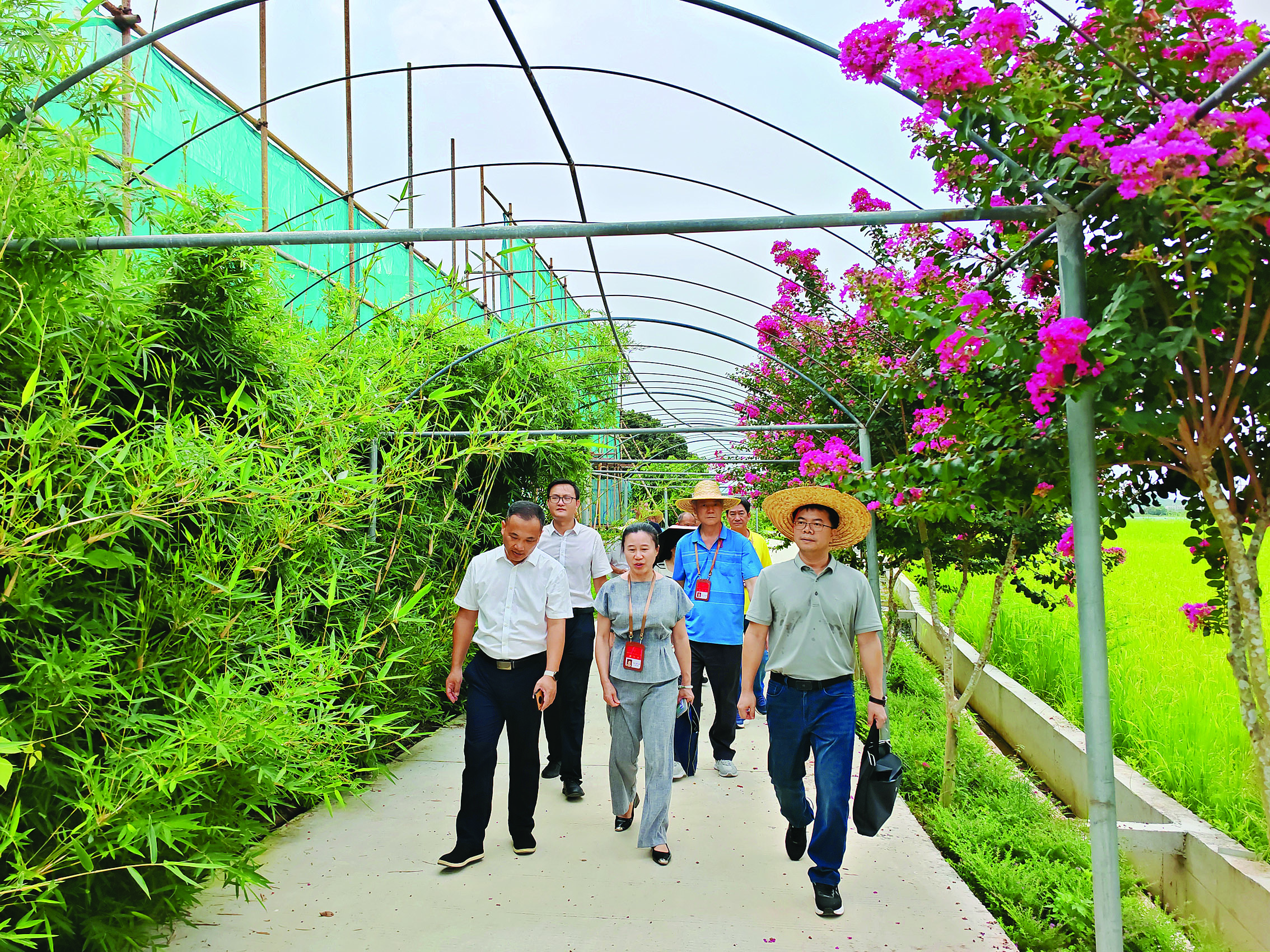     人大代表实地调研“百千万工程”重点项目进展，为高质量推进“百千万工程”献计献策。惠州日报记者陈春惠 摄