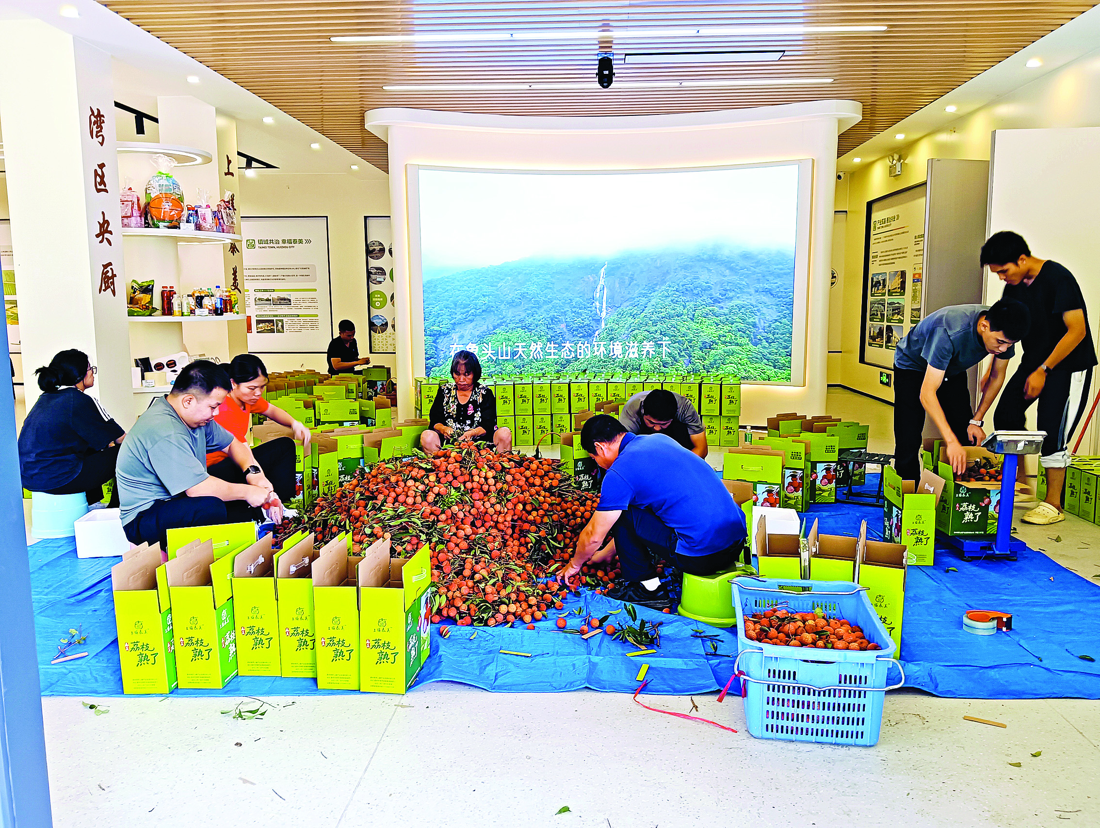     党员干部在帮忙打包荔枝。图片由泰美镇提供