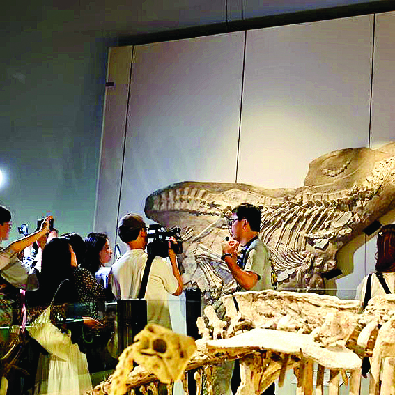     “龙吟九州·中国恐龙大展”展览现场，工作人员（右二）向参观者讲解。新华社发