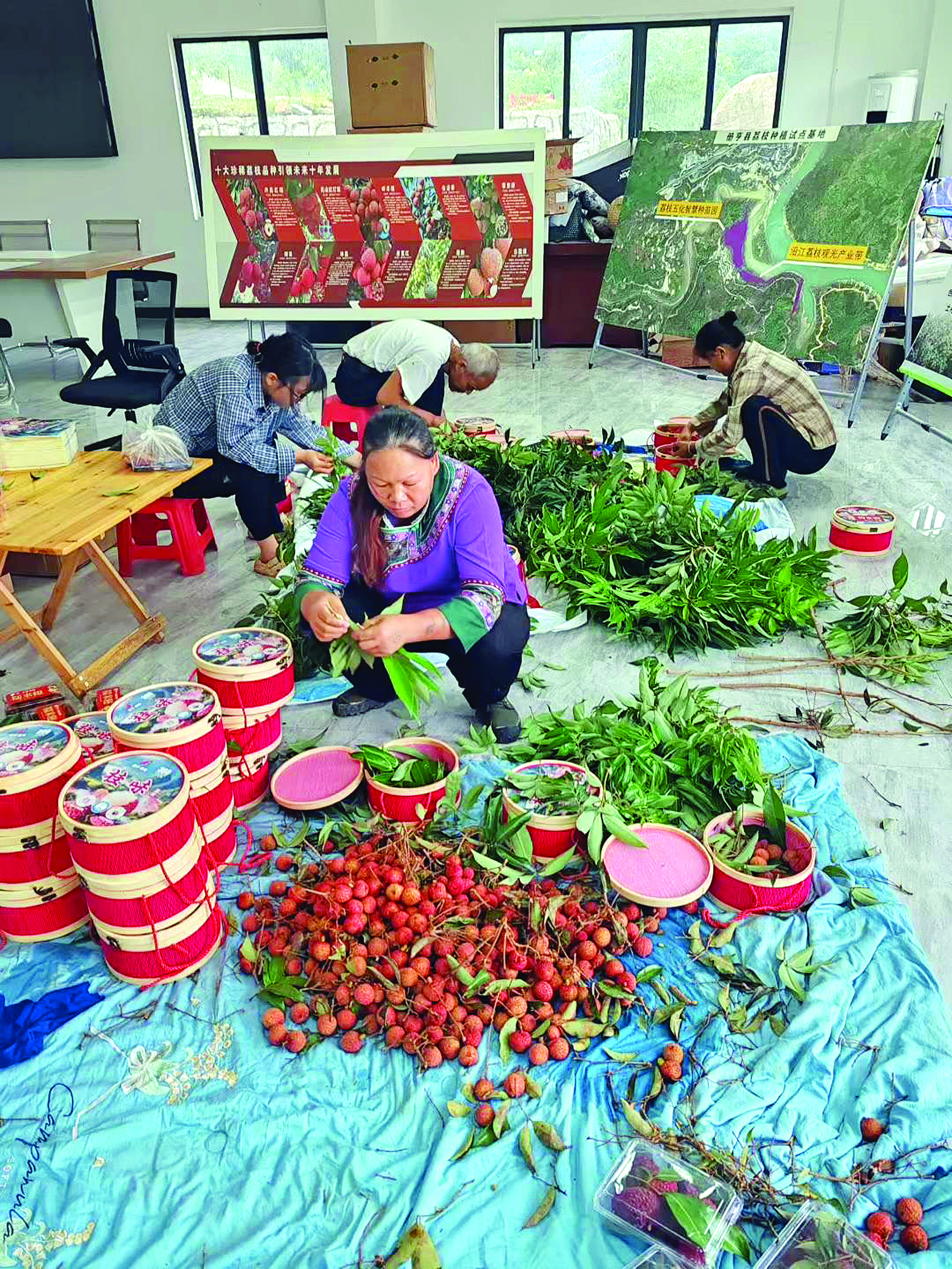    果农打包荔枝。图片由板弄村荔枝种植试点基地提供