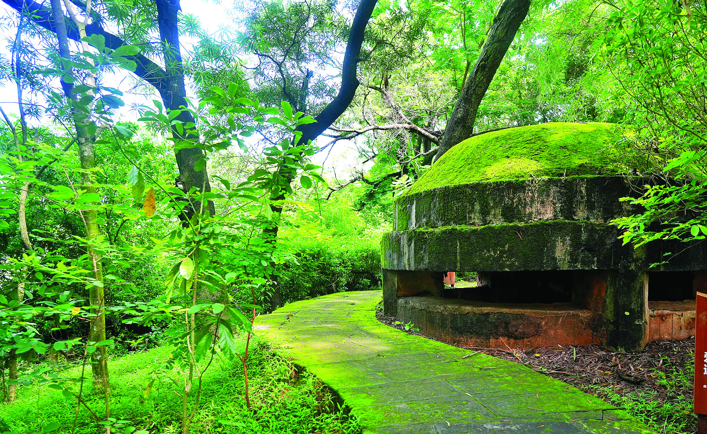     如今，飞鹅岭上仍完整地保存着碉堡、战壕与机枪掩体等遗迹。惠州日报记者朱金赞 摄