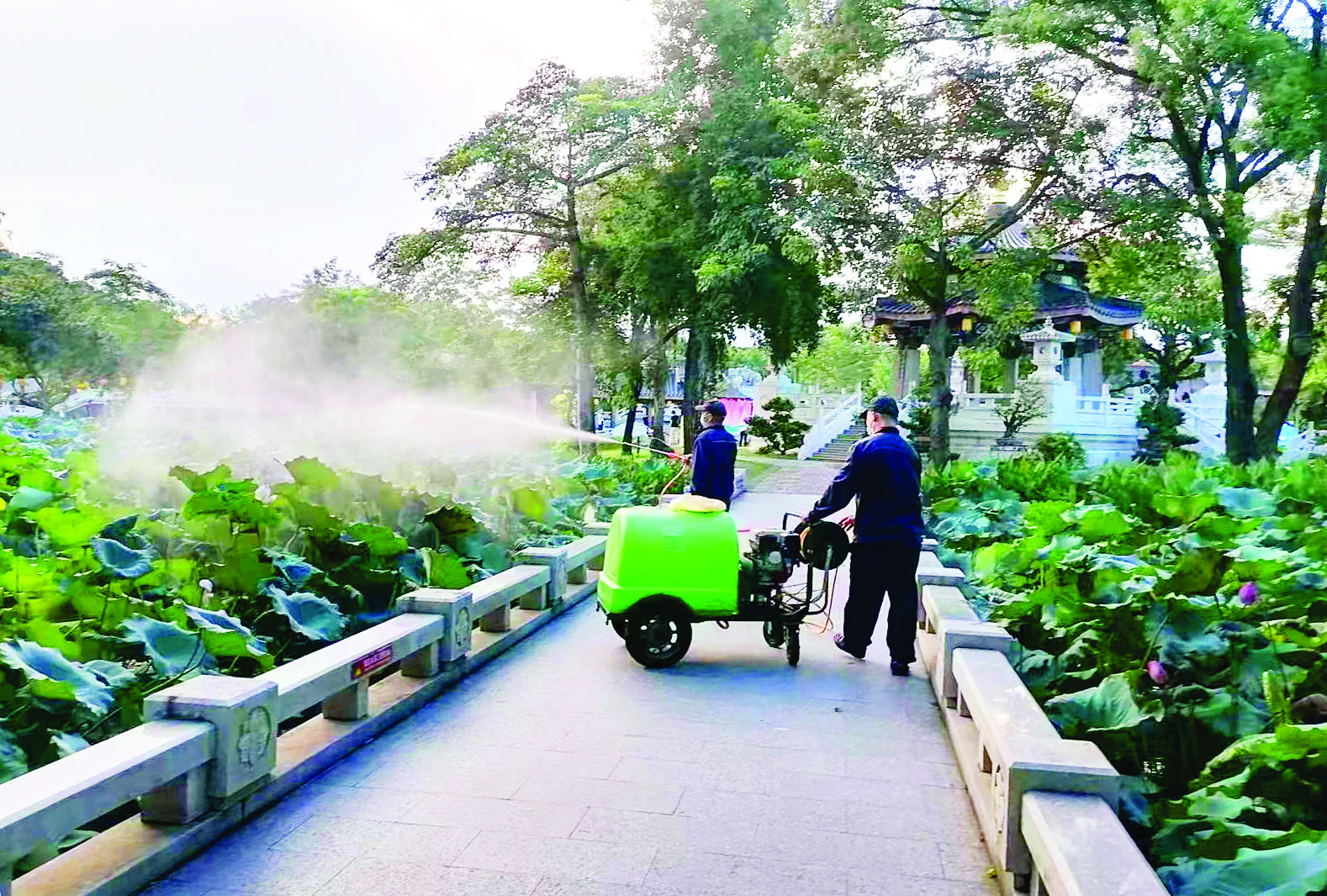     惠州市市政园林人在景区消杀灭蚊。图片由惠州市市政园林事务中心提供