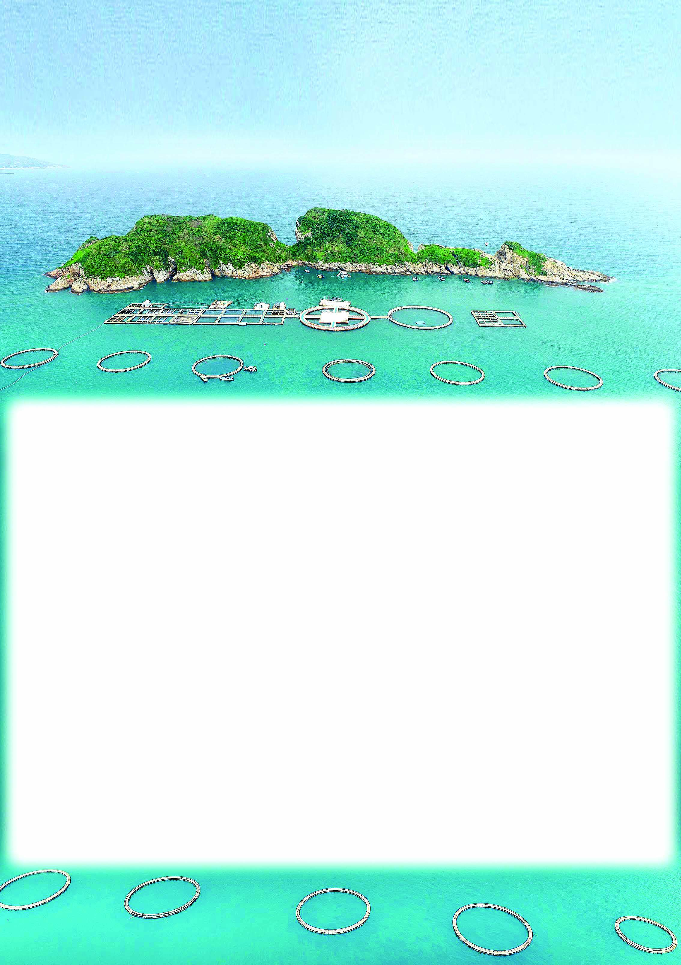     惠东实施向海图强战略，全力推动成海洋牧场建设。    惠州日报记者杨建业 摄