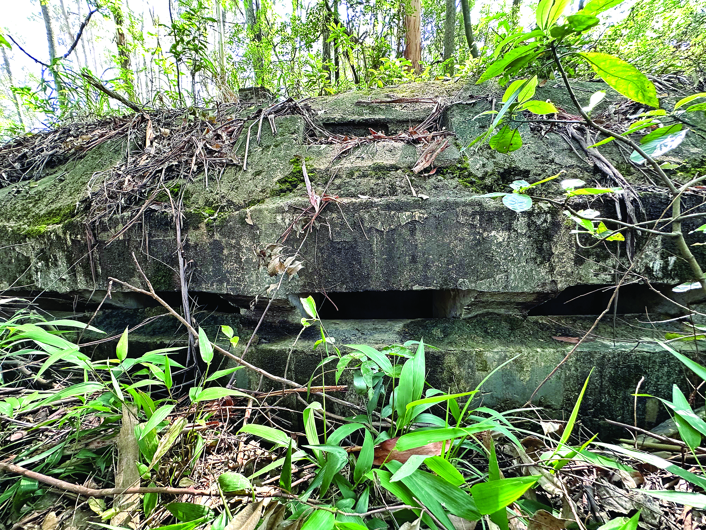     望乡台守军射击点。