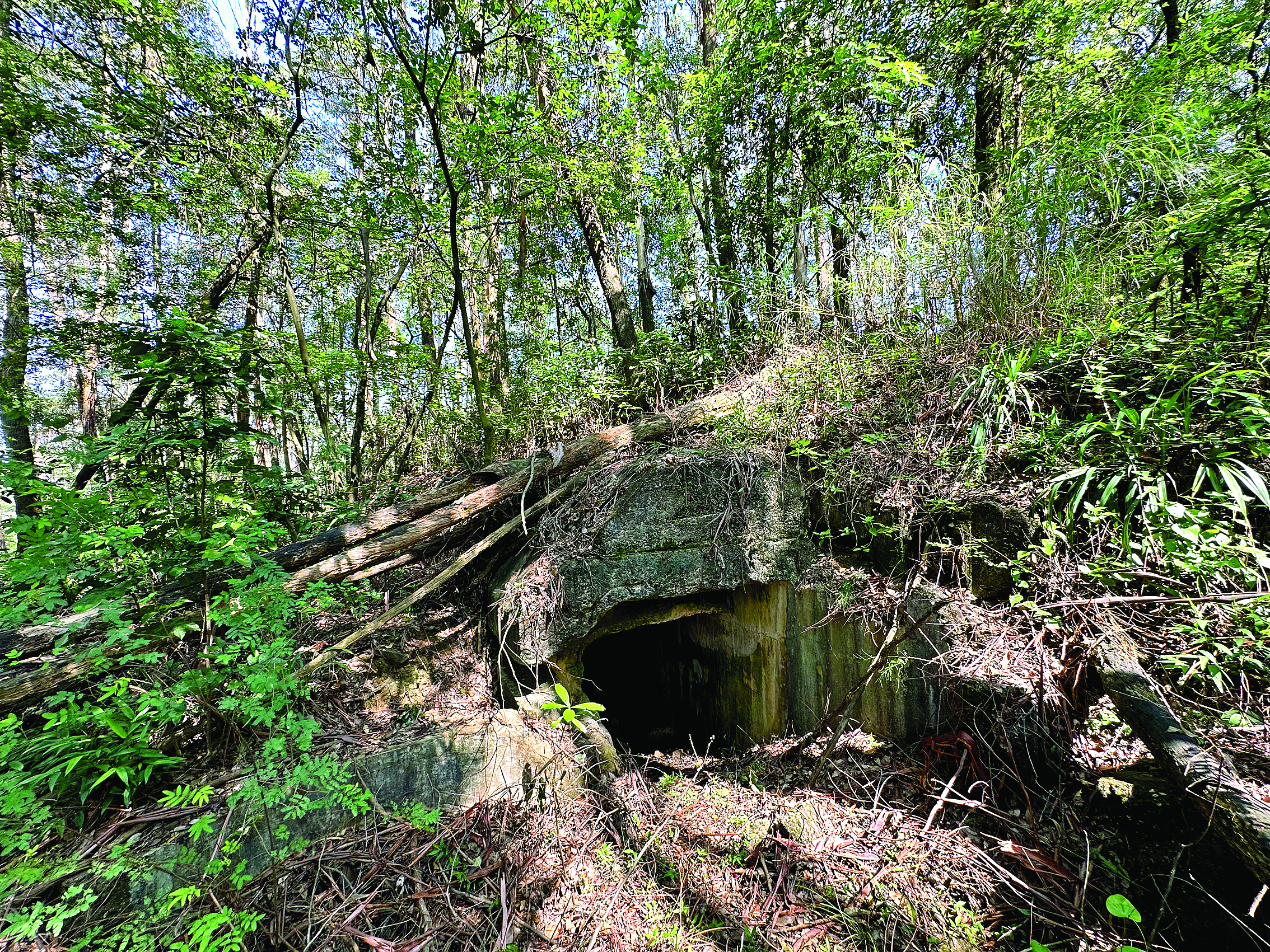     望乡台暗堡入口。