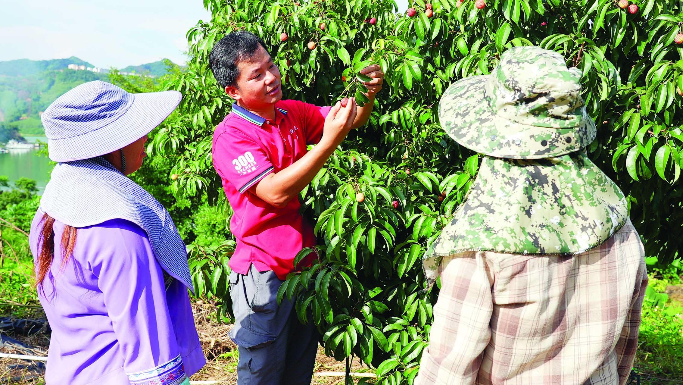     吴宇辉（中）为荔农提供管护技术指导。册亨融媒记者田德胜 摄