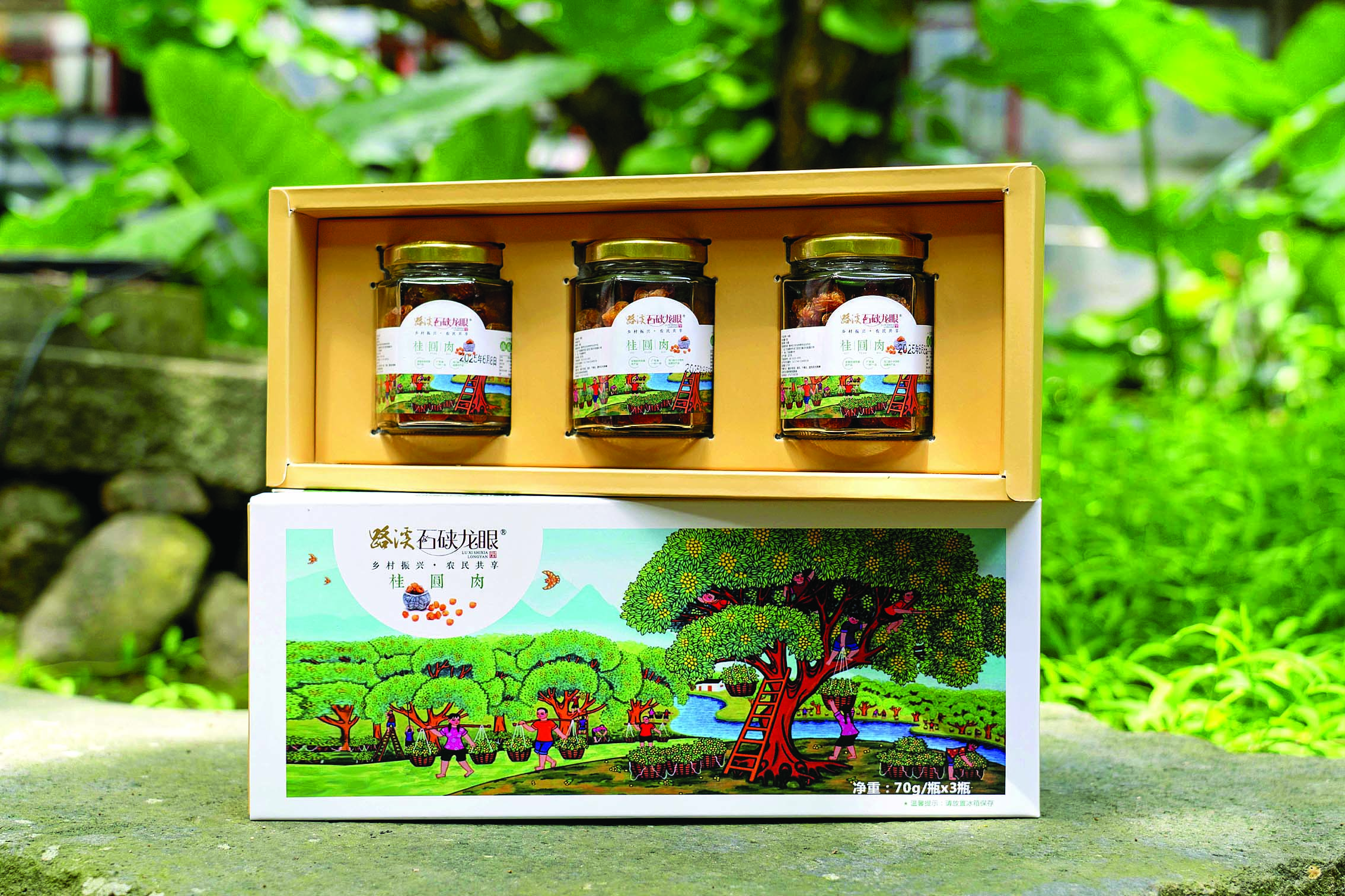     成品 龙门路溪特产石硖桂圆肉。