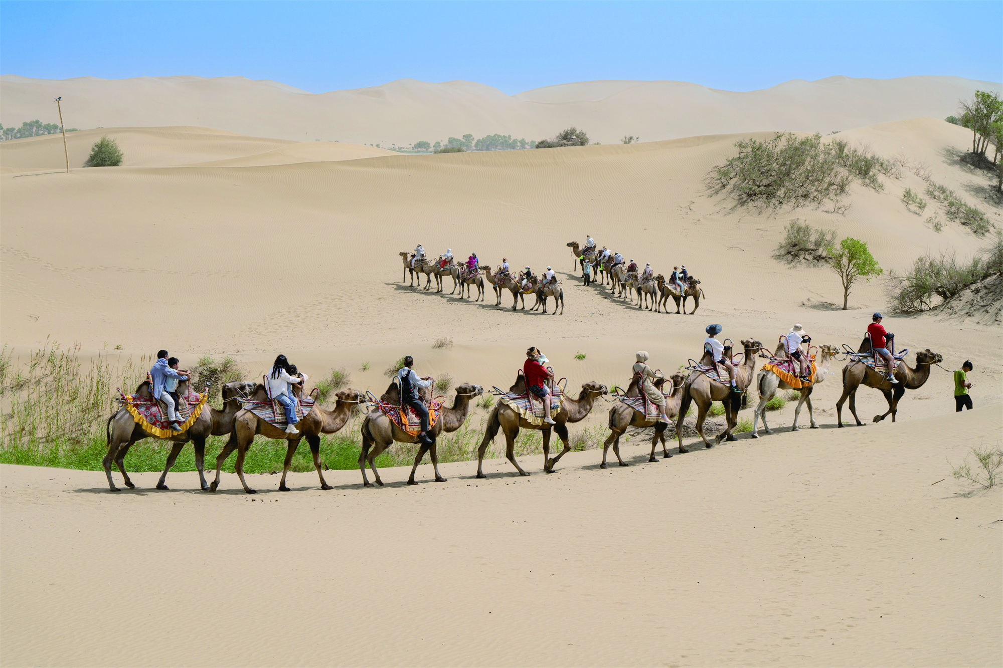     塔克拉玛干沙漠。