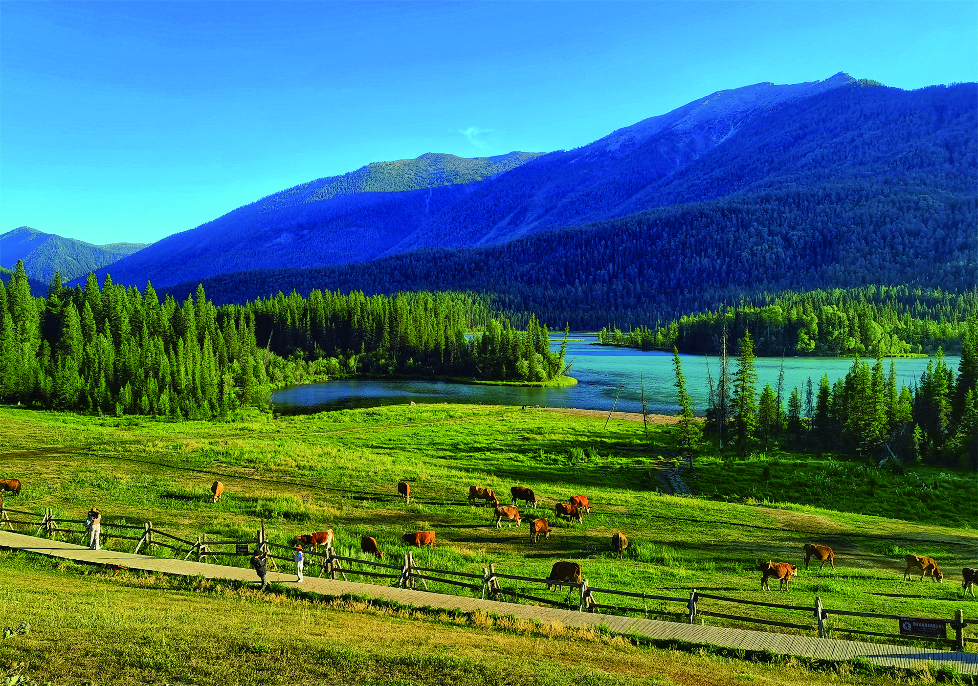     喀纳斯三湾之一的神仙湾。