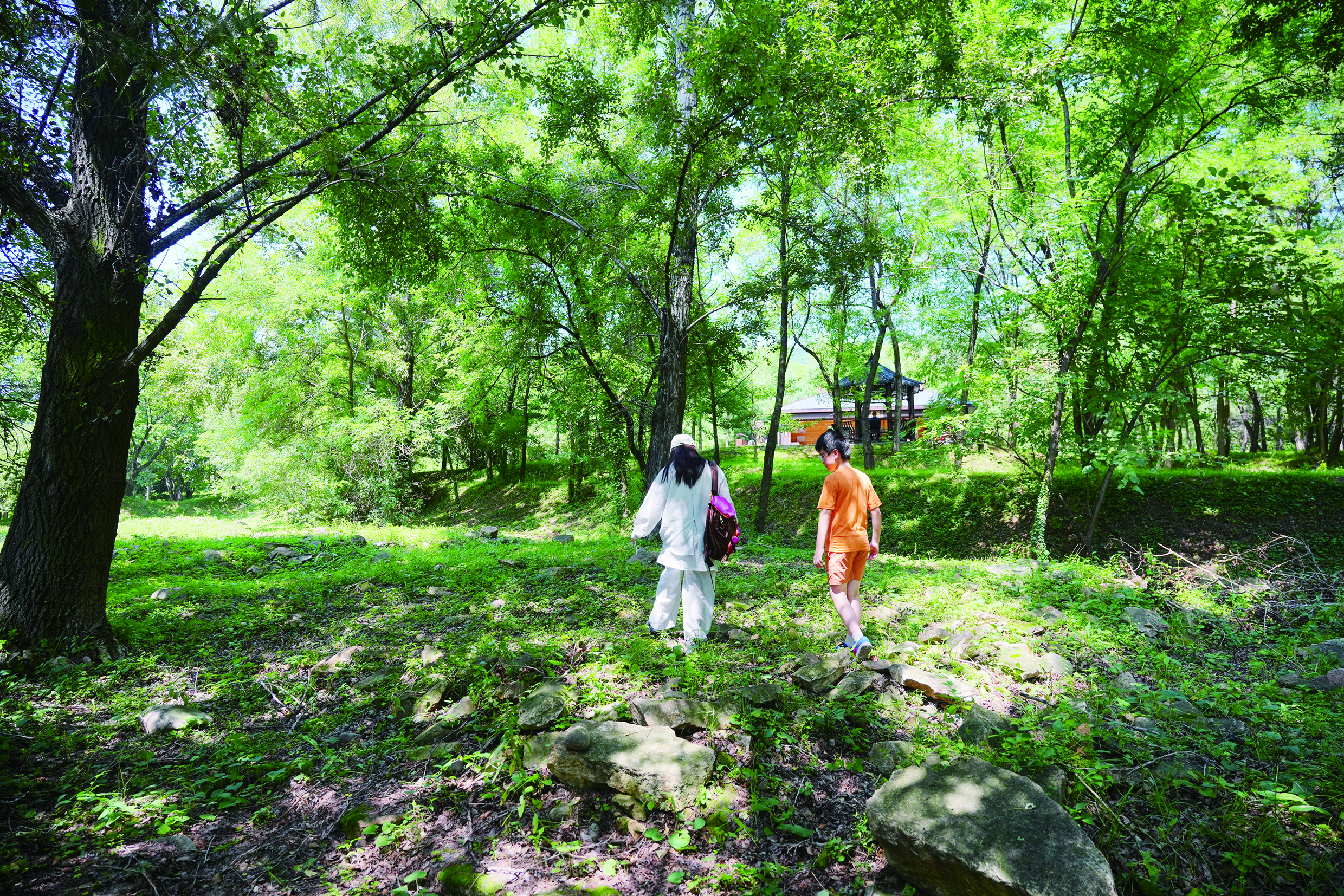     户外活动时穿浅色长袖衣服最保险。