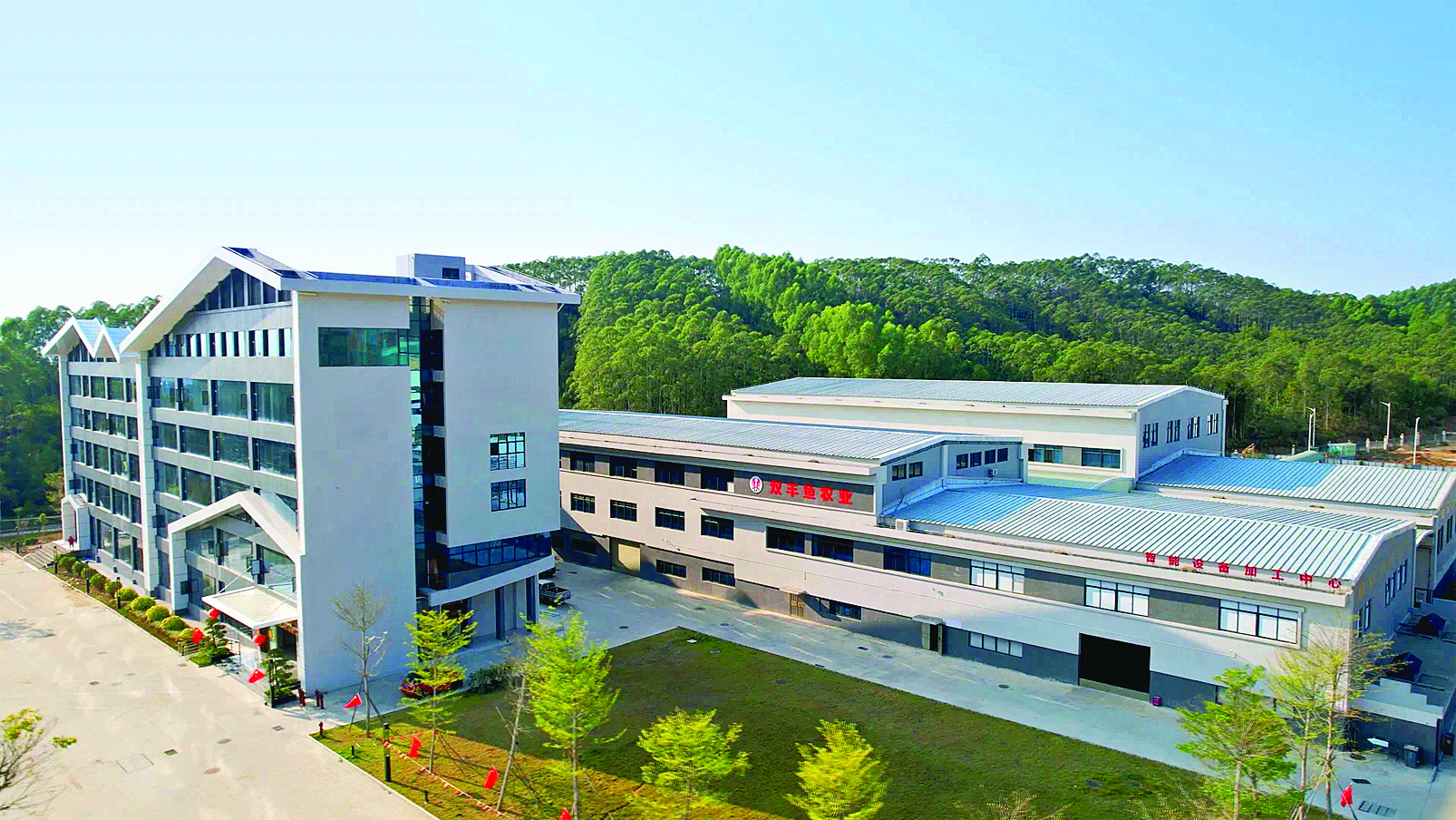     位于龙田镇的丝苗米省级现代农业产业园。