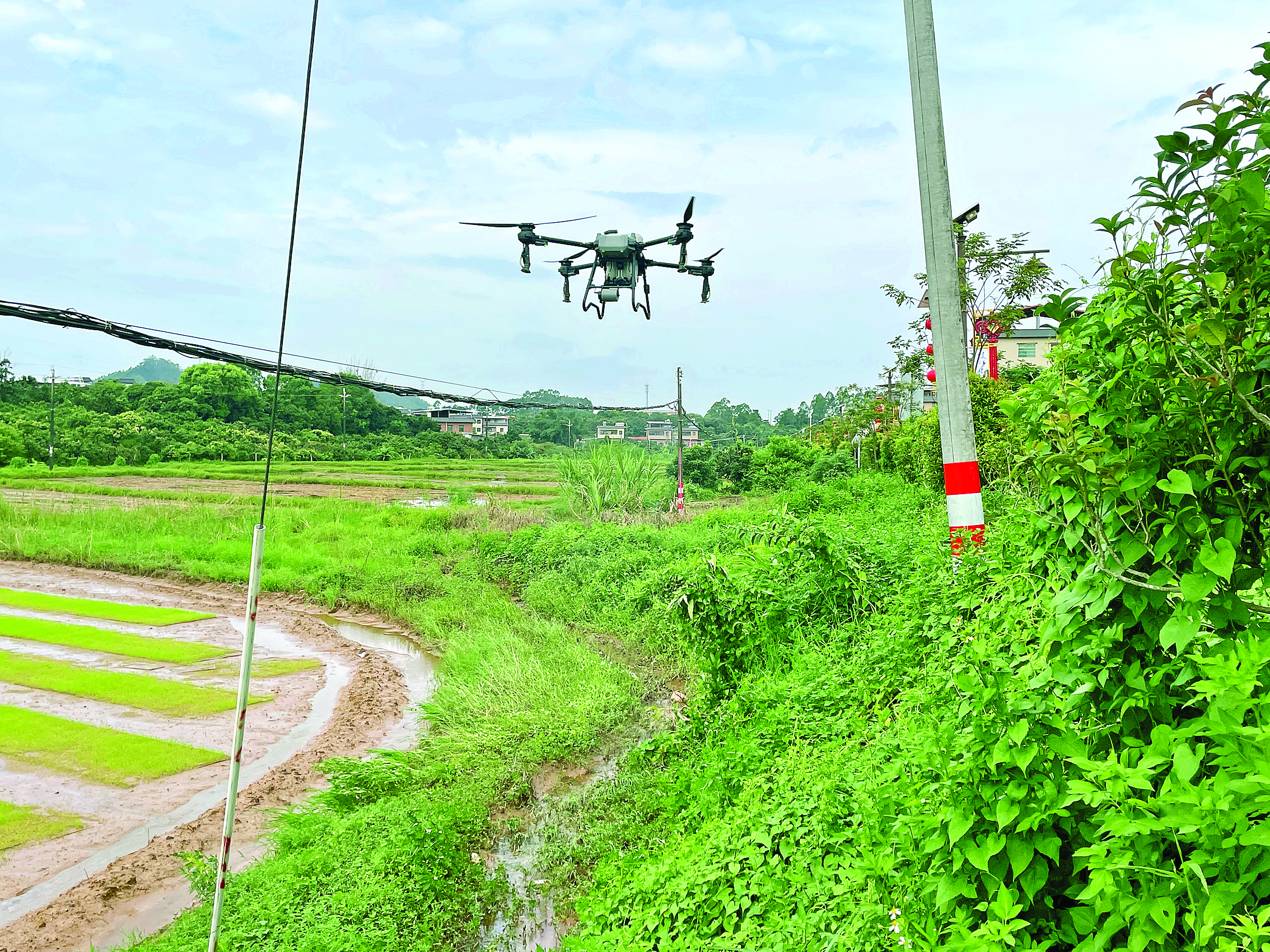     陈江街道利用无人机喷洒灭蚊药剂。惠州日报记者刘乙端 通讯员刘素梅 摄