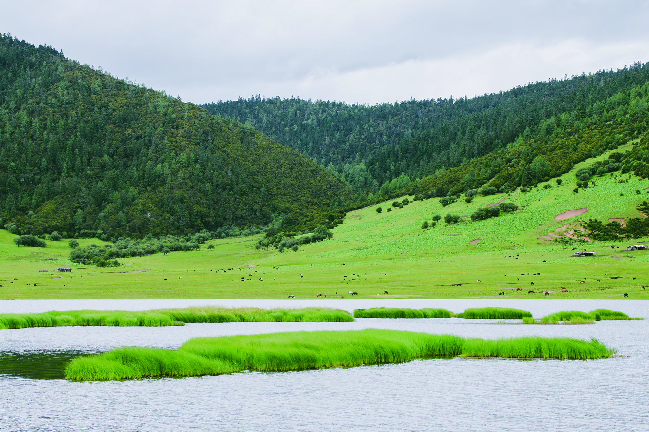     欣赏壮阔的山河秋景。