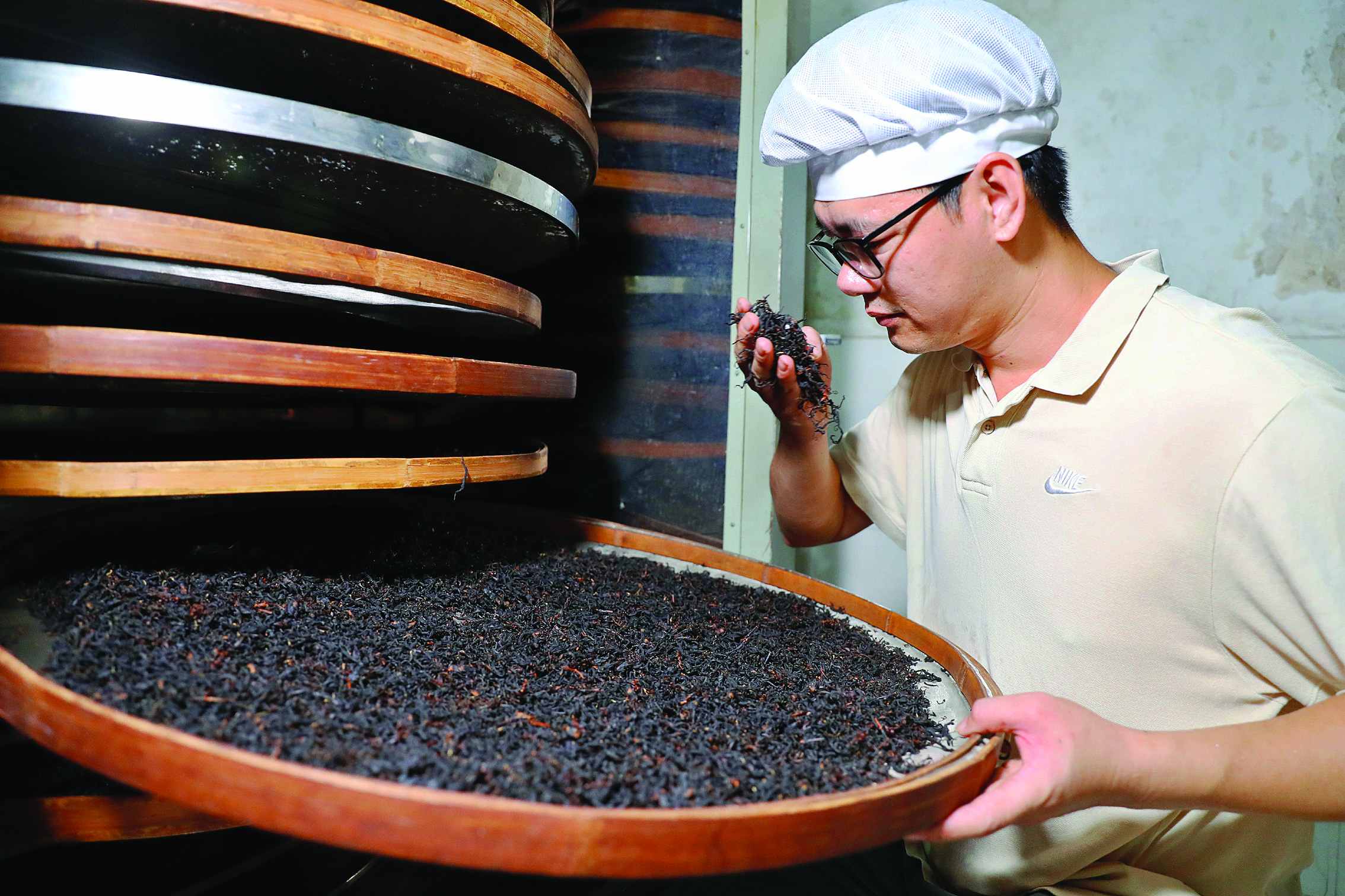     检查茶叶的烘烤情况。