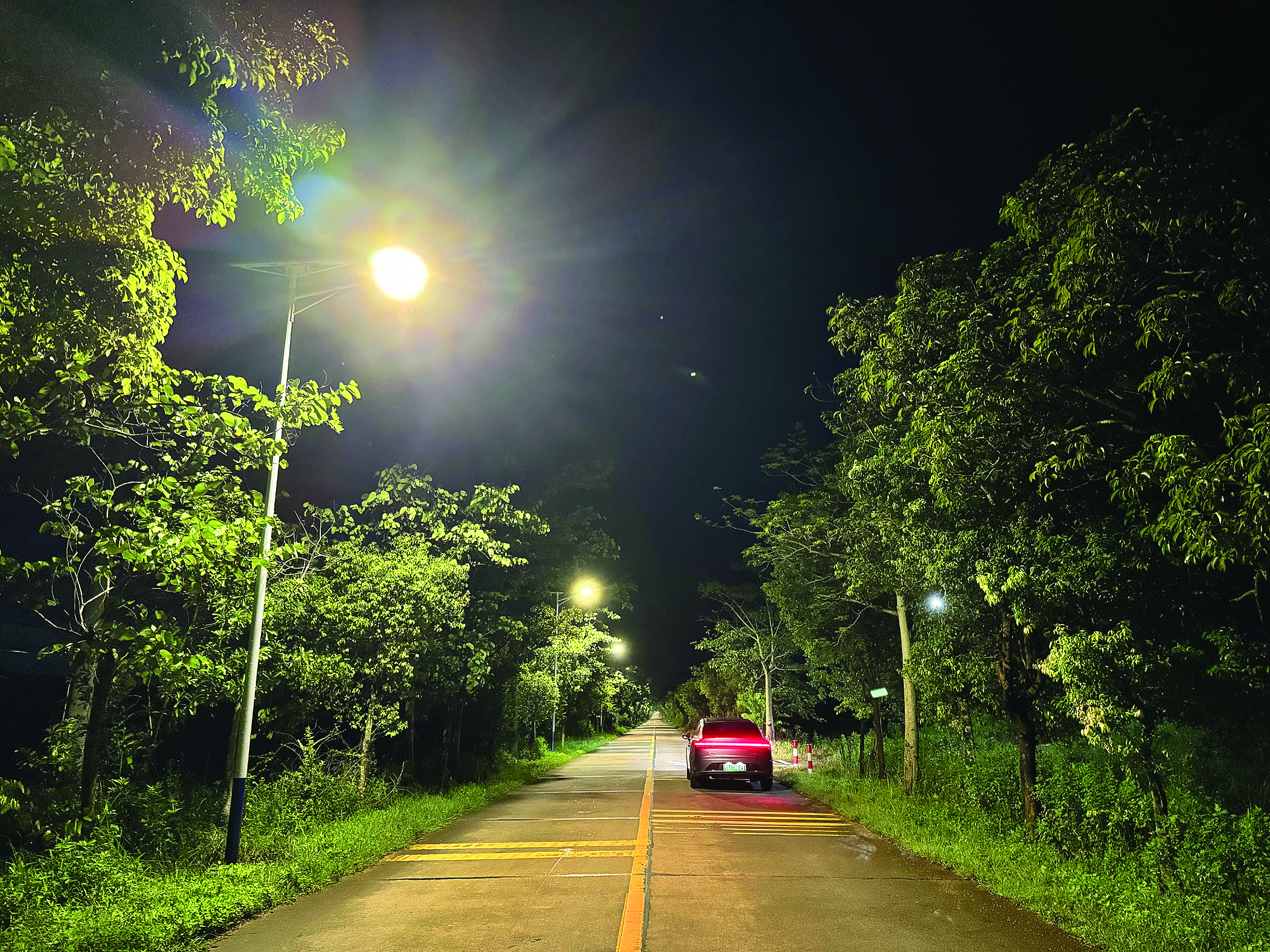     路灯亮了，群众夜间开车更安全了。惠州日报记者彭红霞 通讯员邵蓓 朱斌 摄