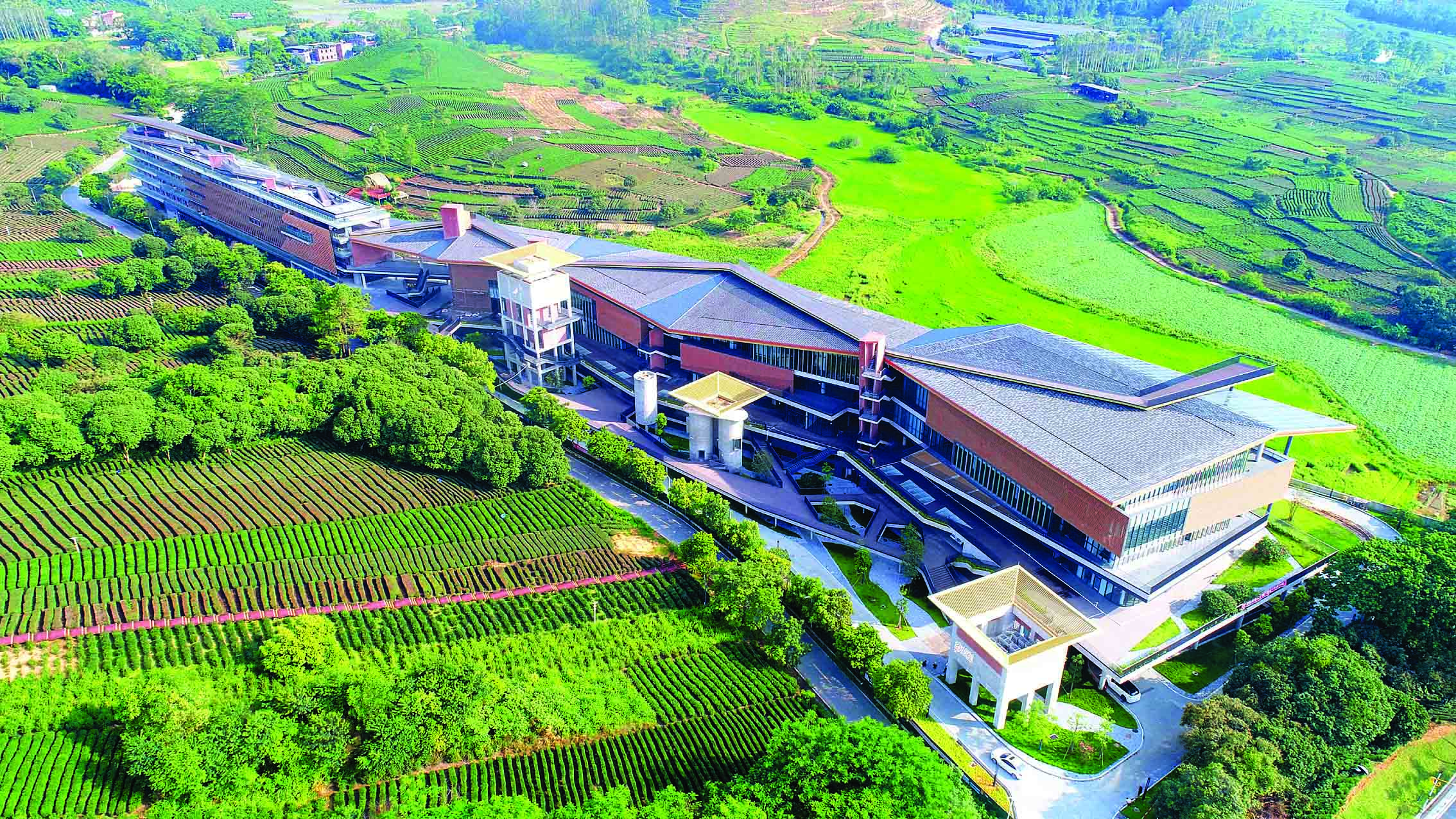     博罗县柏塘镇的茶文化主题度假酒店。惠州日报记者杨建业 实习生刘倩 摄