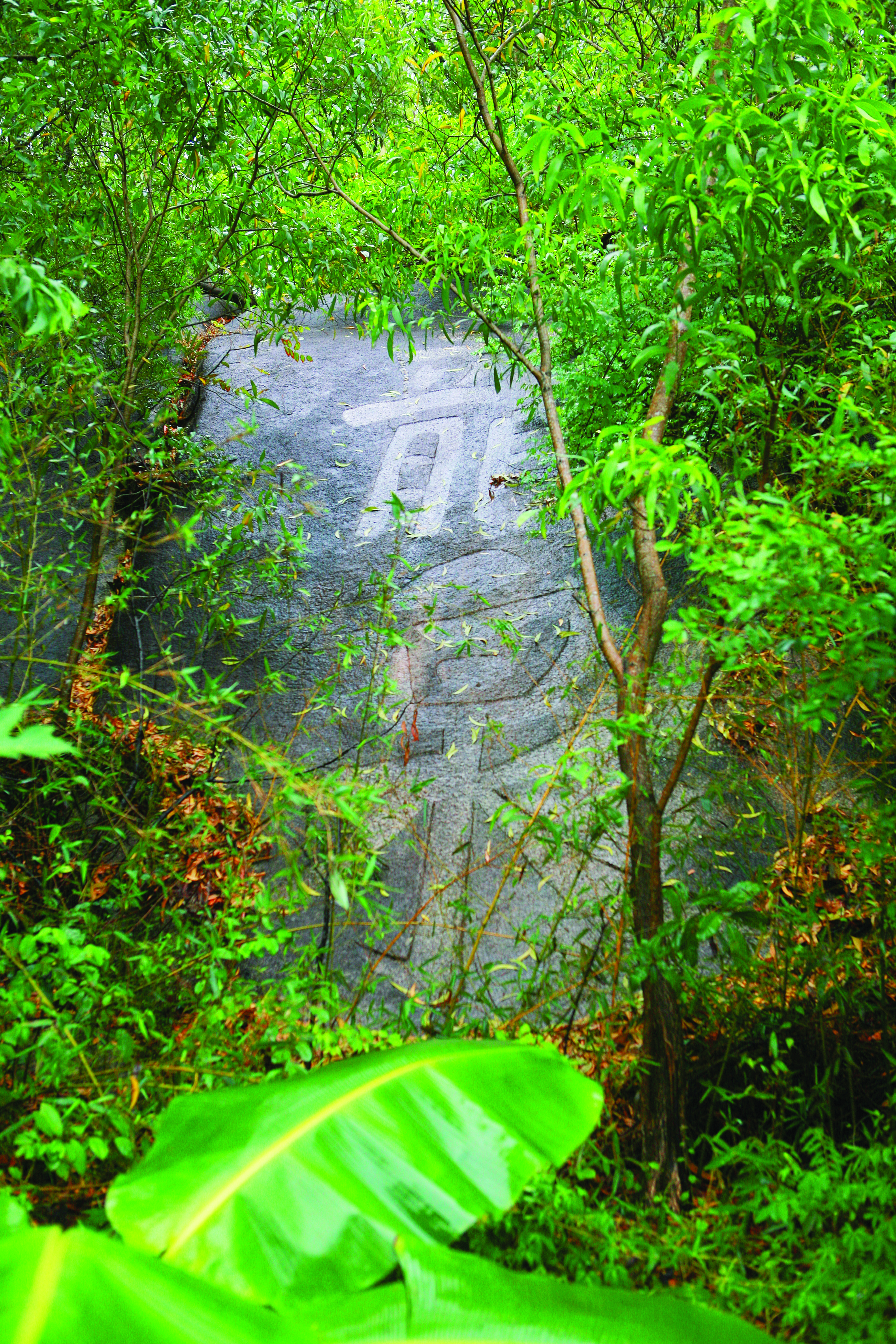     “龙泉”摩崖石刻。汪洁 摄