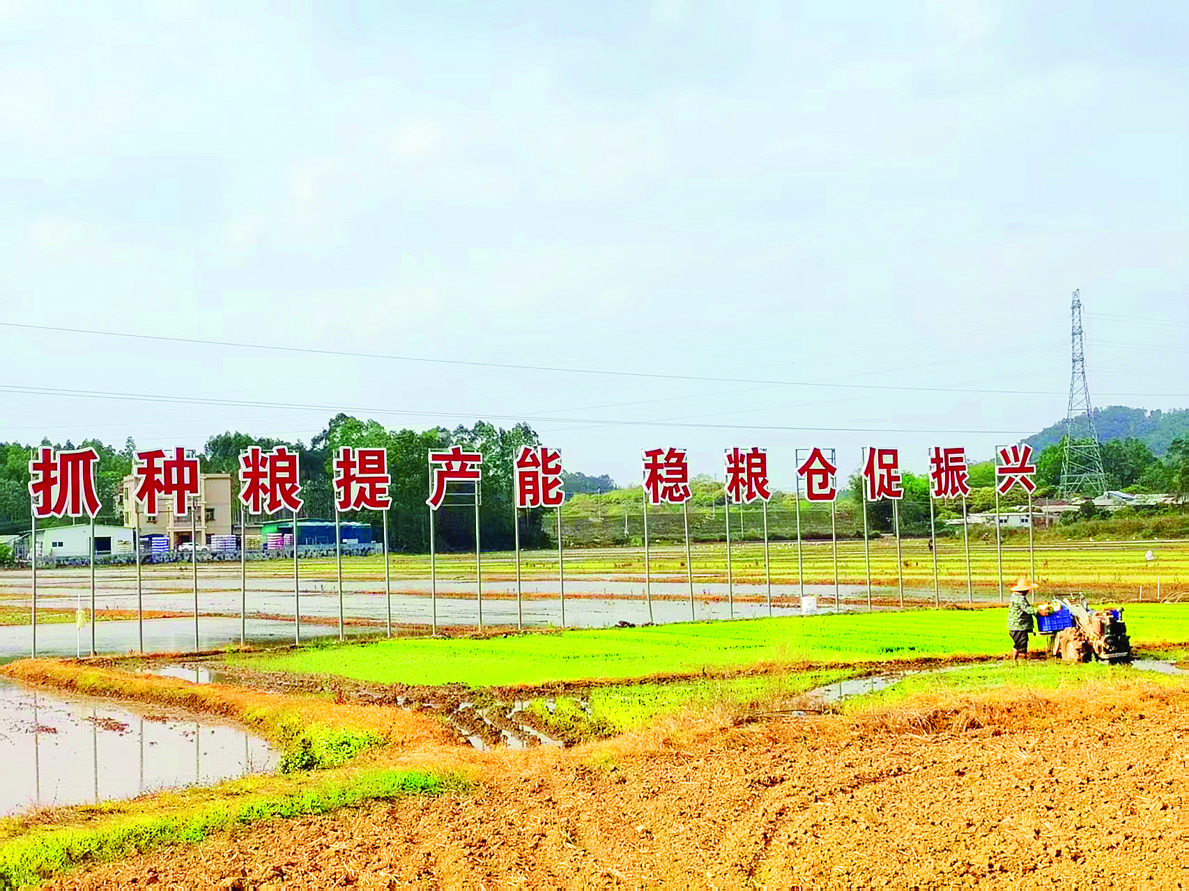     平潭镇打好晚稻攻坚战。