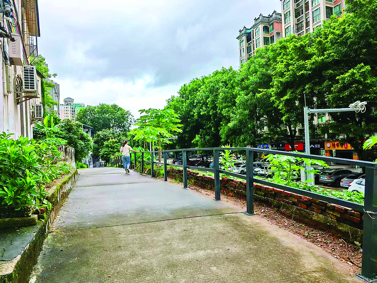     护栏安装好了，周边环境变美了。    惠州日报记者谢菁菁 通讯员朱俊霞 摄