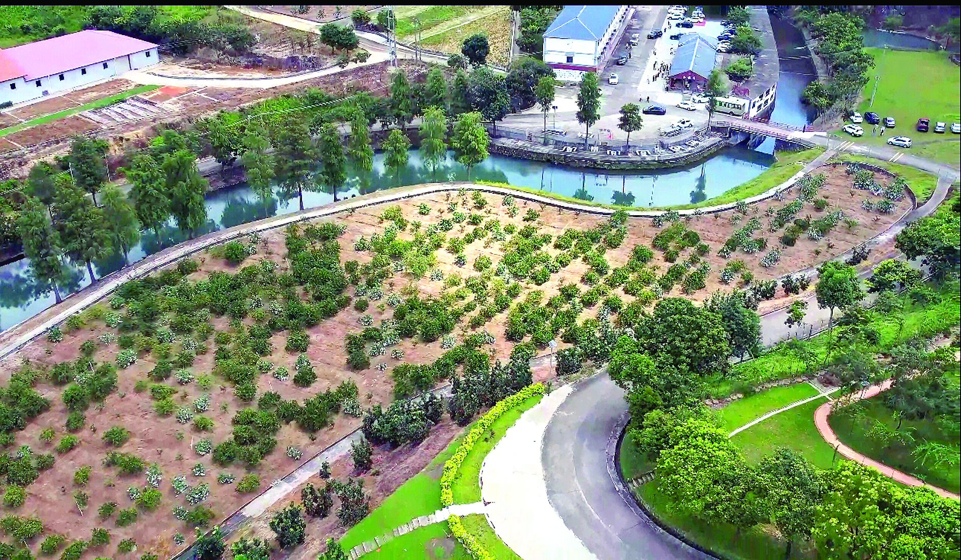     高潭镇黄沙村蜜柚种植基地。