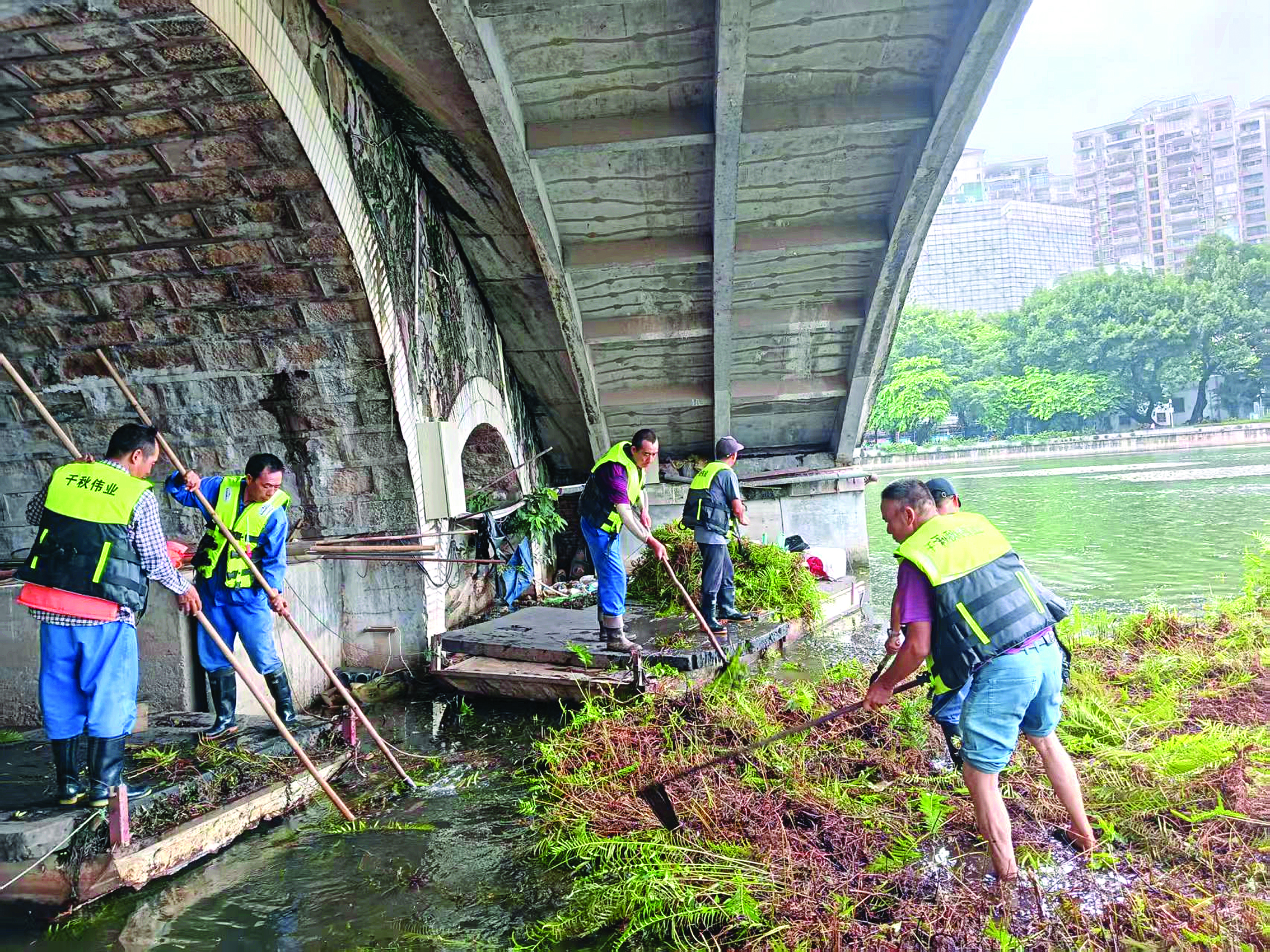     工作人员对老化的生态浮岛及杂草进行清理作业。惠州市西湖景区管理中心供图