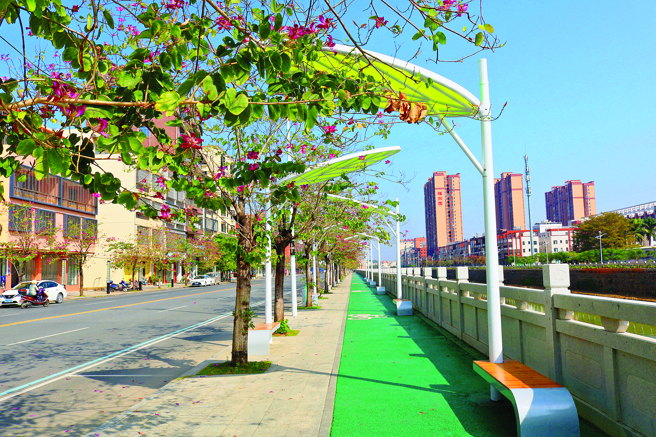     博罗县柏塘镇美丽河道慢行步道。