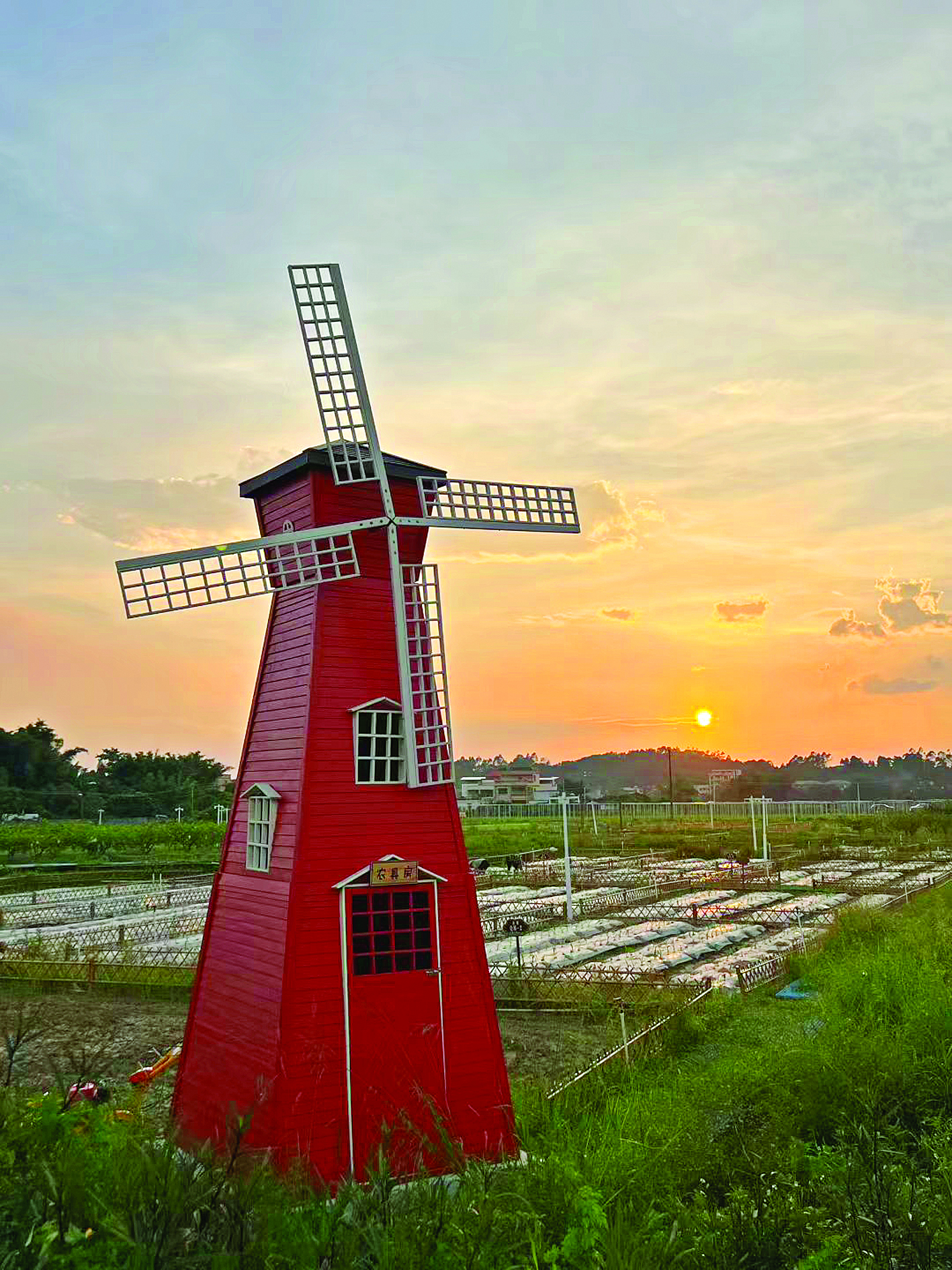     “良田美景”共享农场一隅。