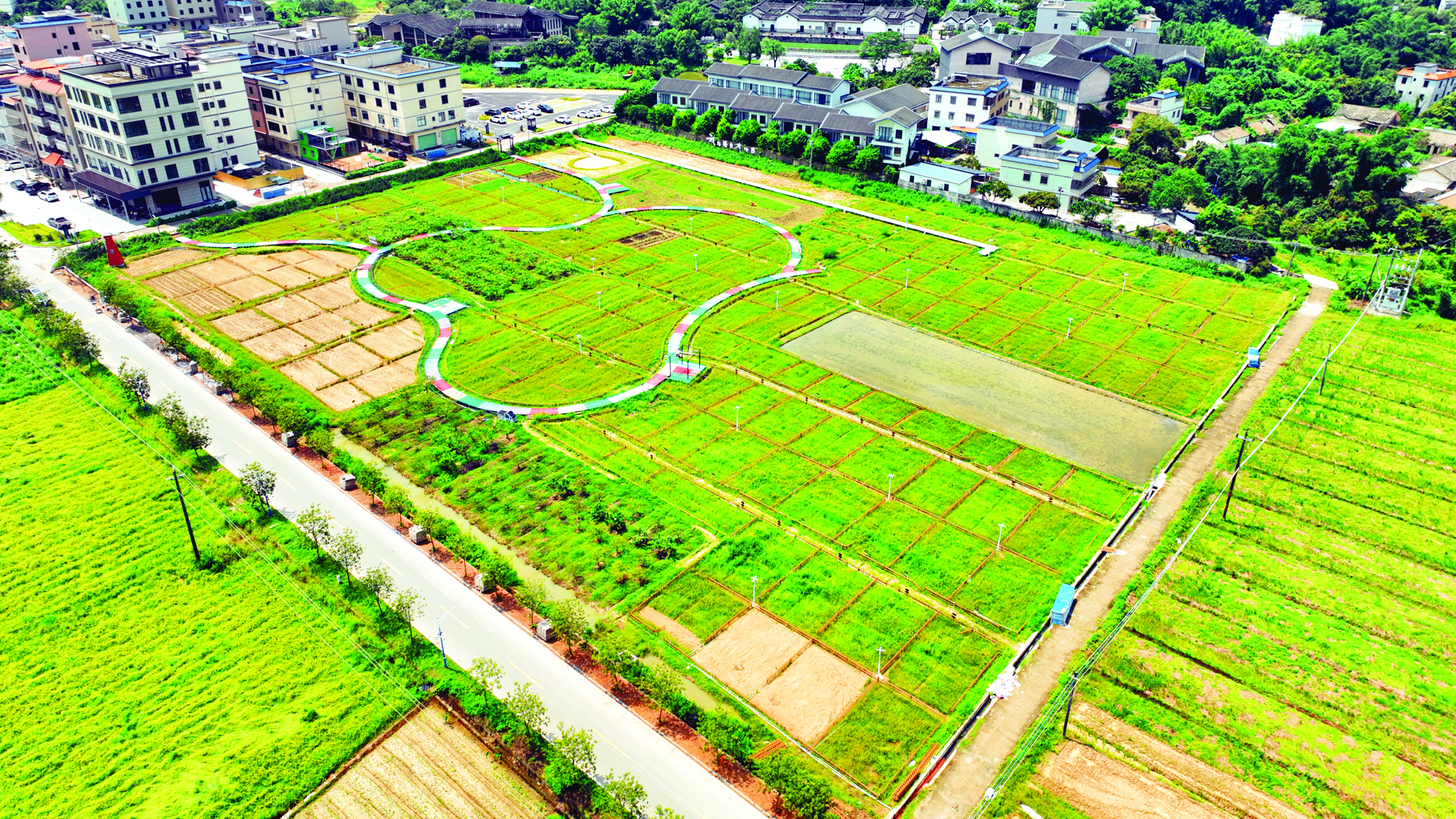     航拍“良田美景”共享农场。