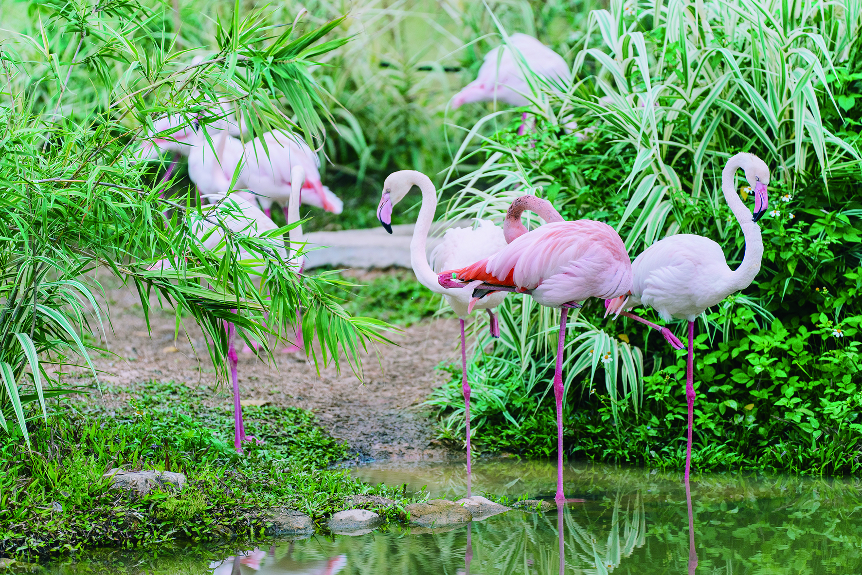    博罗浮生六季生态园。