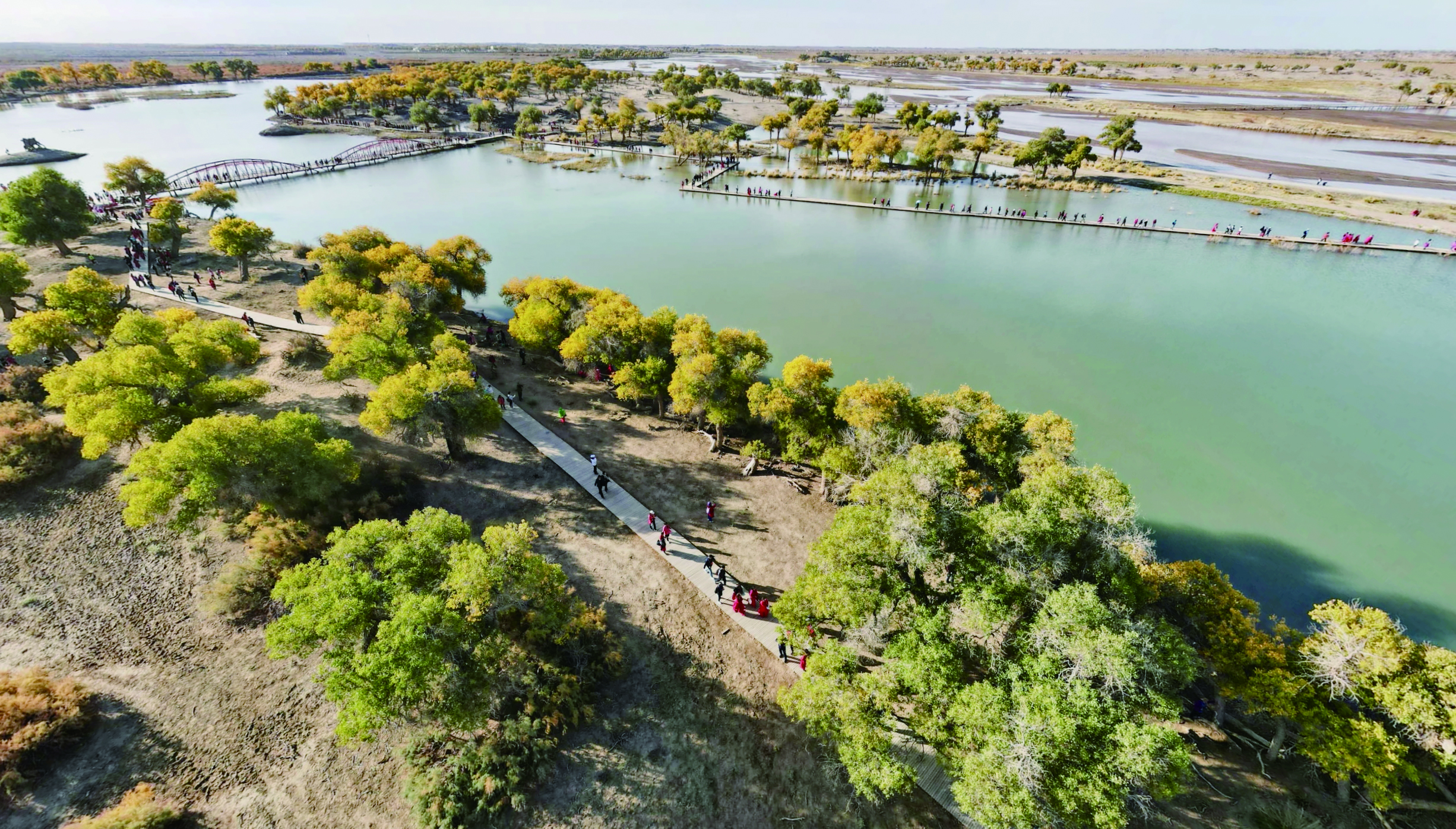     弱水胡杨林，柔水与倔强胡杨相映。