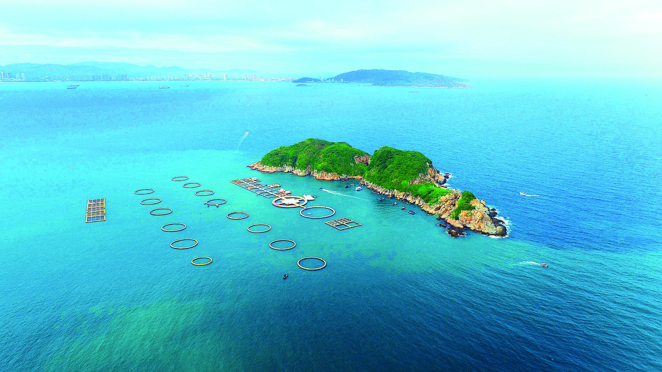     惠东港口小星山附近的海洋牧场。