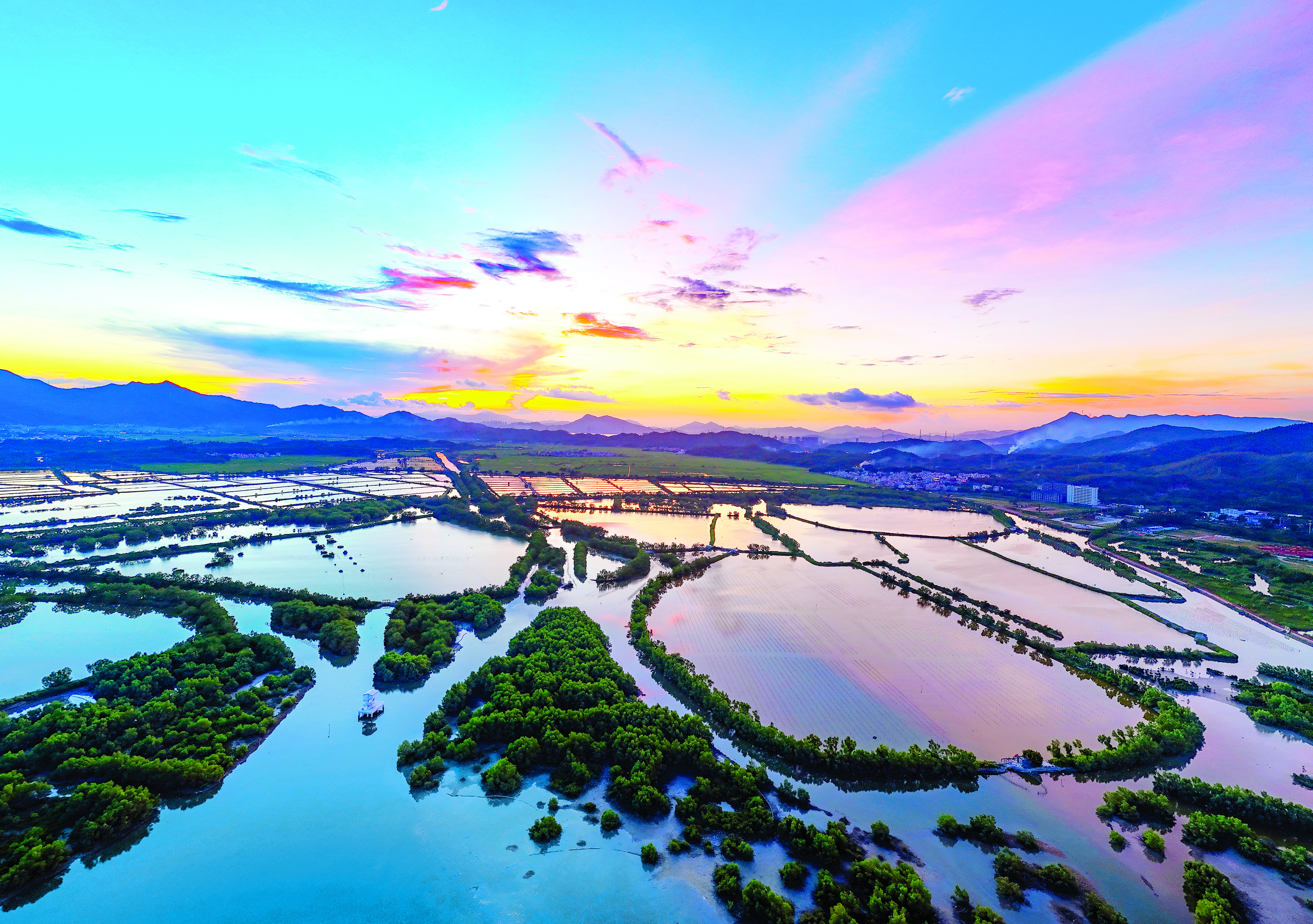     惠东稔山镇的红树林公园成为游客打卡地。