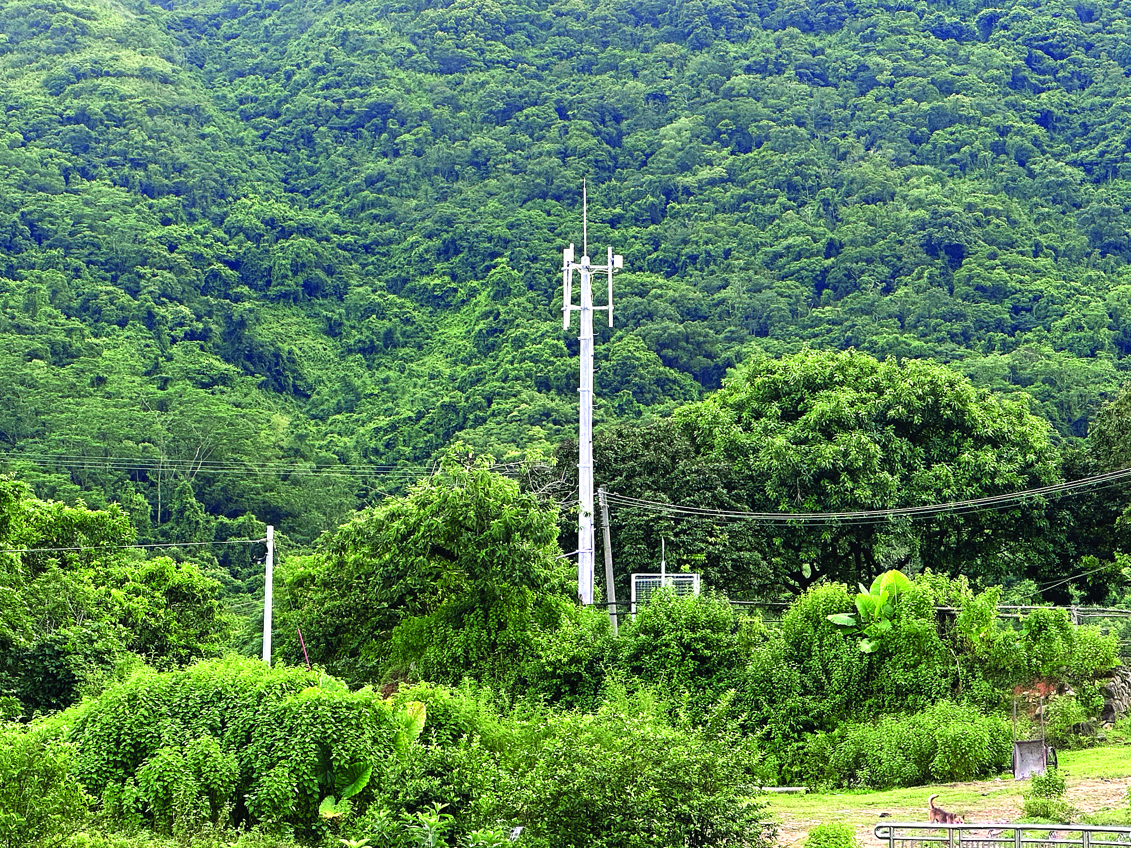     角公洞村民小组迎来了5G网络信号。