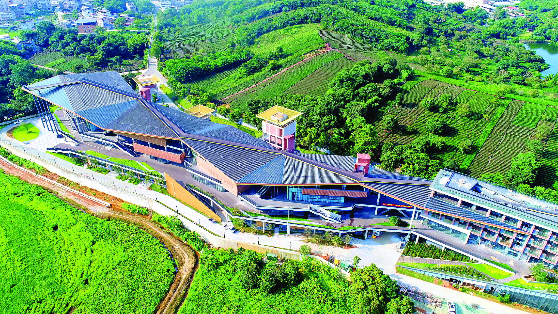     位于博罗县柏塘镇万亩茶园的祼心乡村酒店。惠州日报记者杨建业 摄