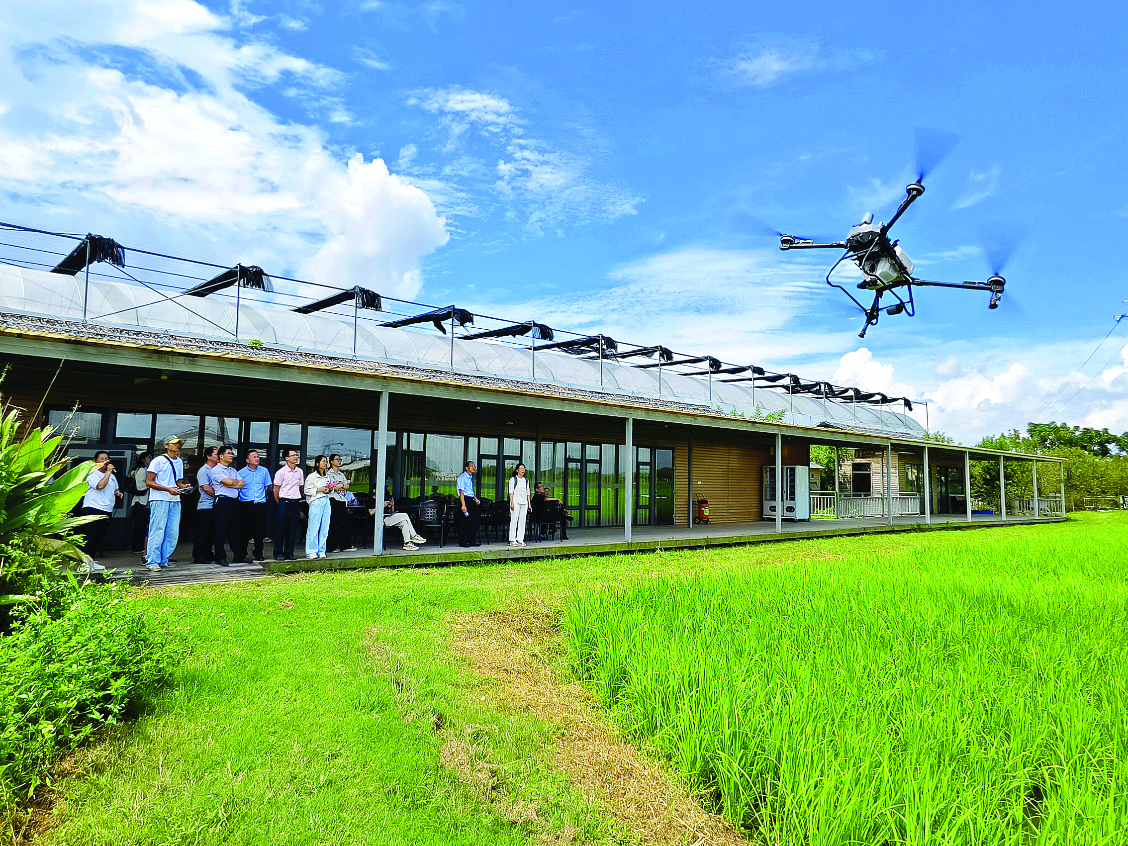     现场展示农业无人机作业。