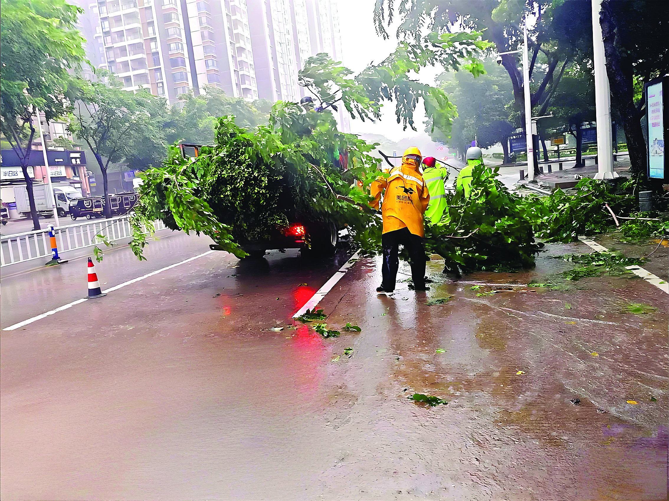     9月24日早上7时30分，市政园林养护人员冒雨清理倒伏树木。惠州日报记者周智聪 通讯员高扬 摄