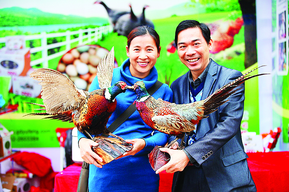     黄运斌与妻子坚持生态养殖七彩山鸡。    图片由采访对象提供